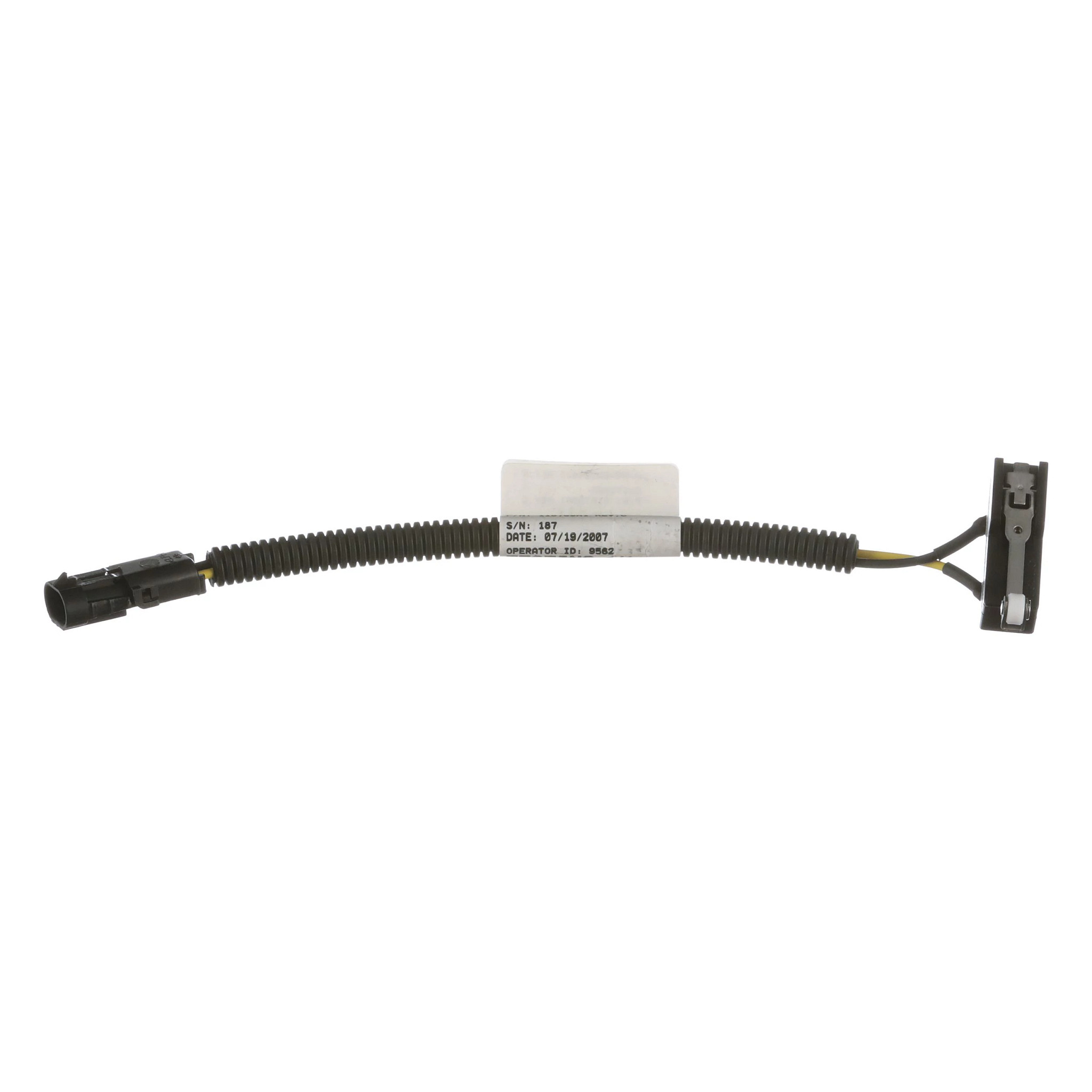 SWITCH | CASECE | US | EN