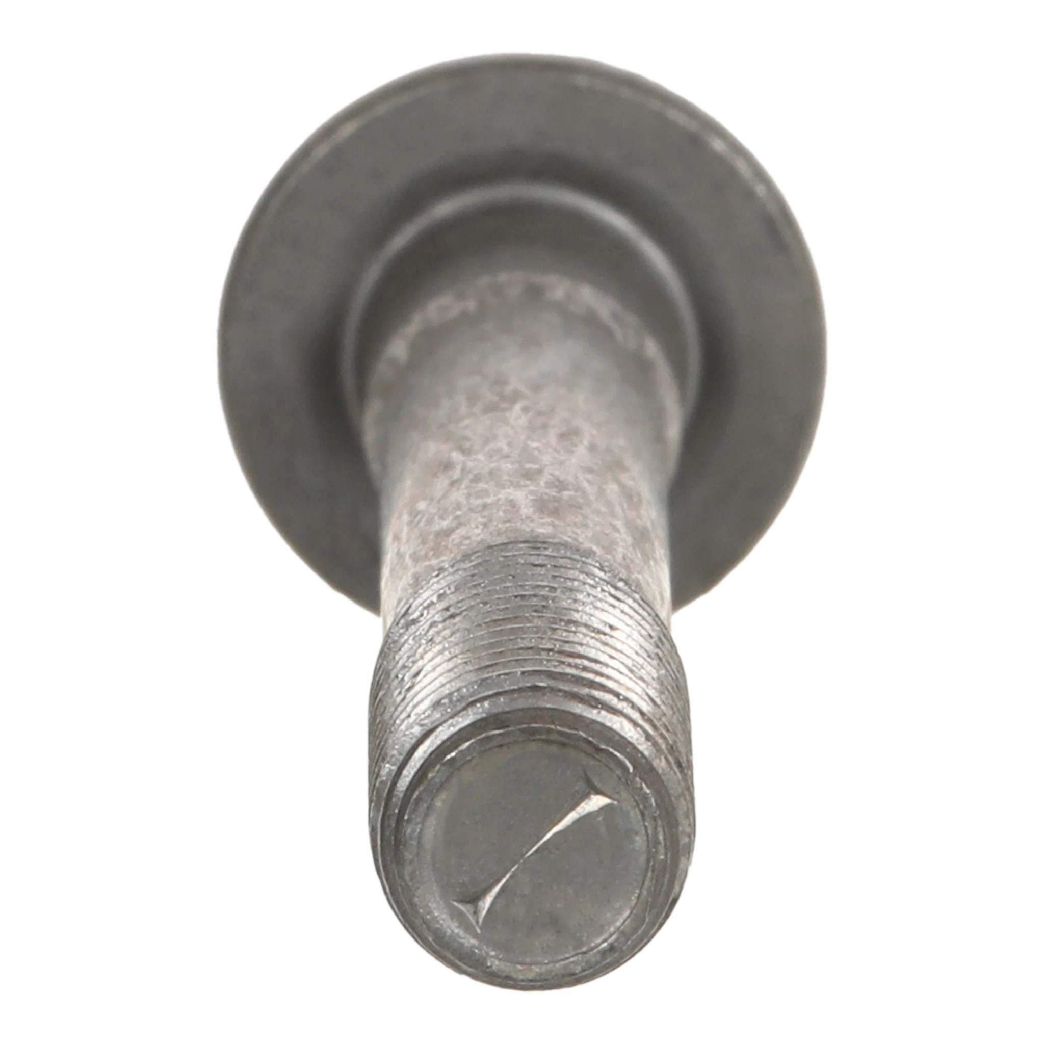 SCHRAUBE | CASECE | EU | DE