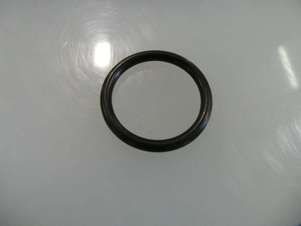O-RING
