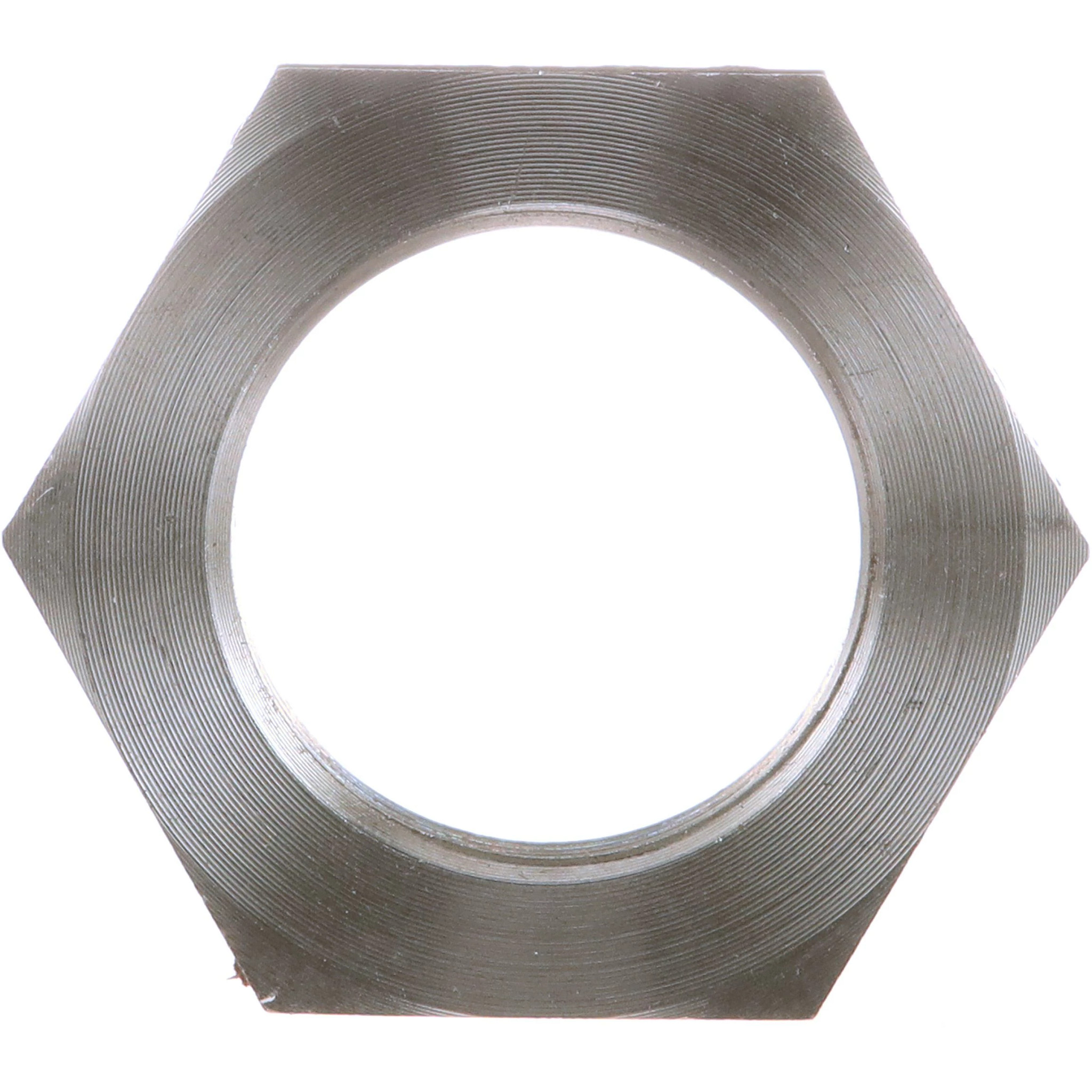 NUT | NEWHOLLANDAG | NZ | EN