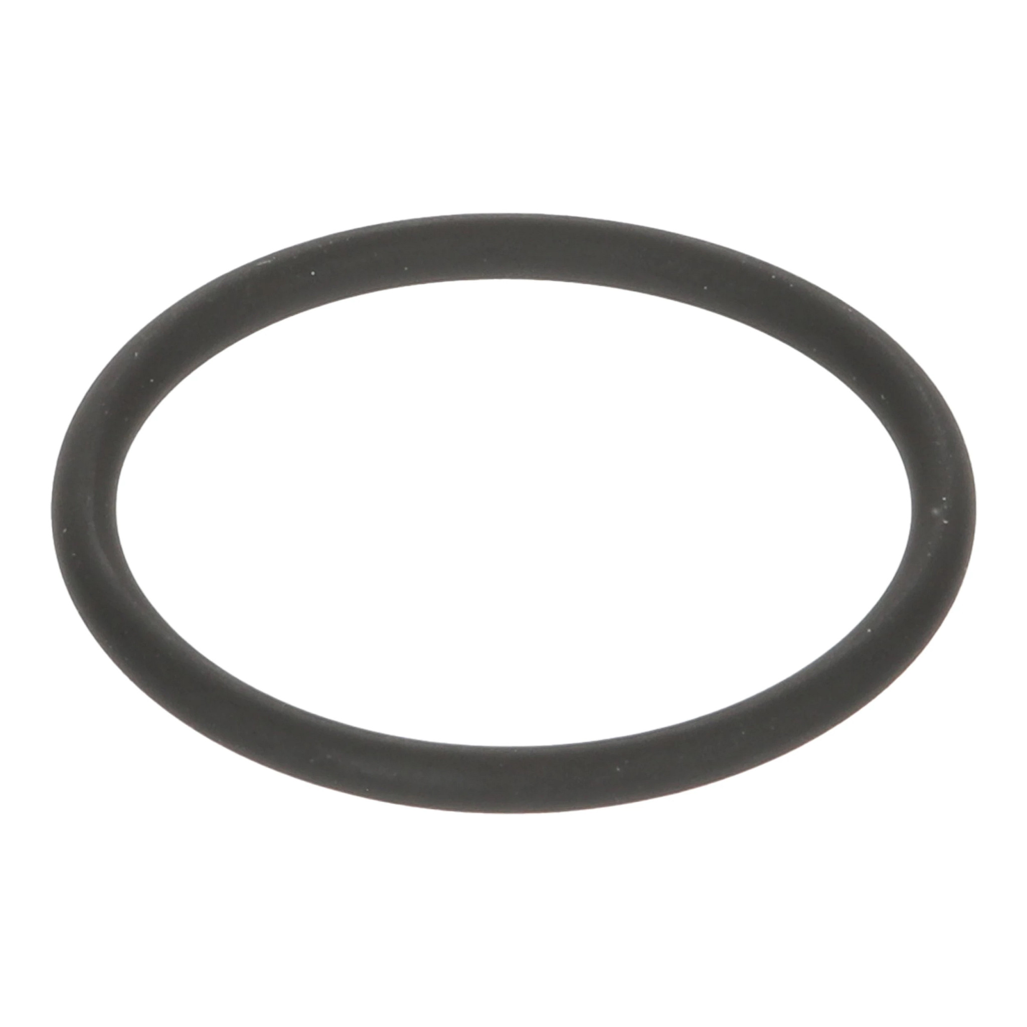 JUNTA TÓRICA | CASECE | EU | ES