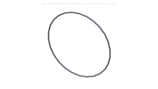 O-RING | NEWHOLLANDCE | EU | PL