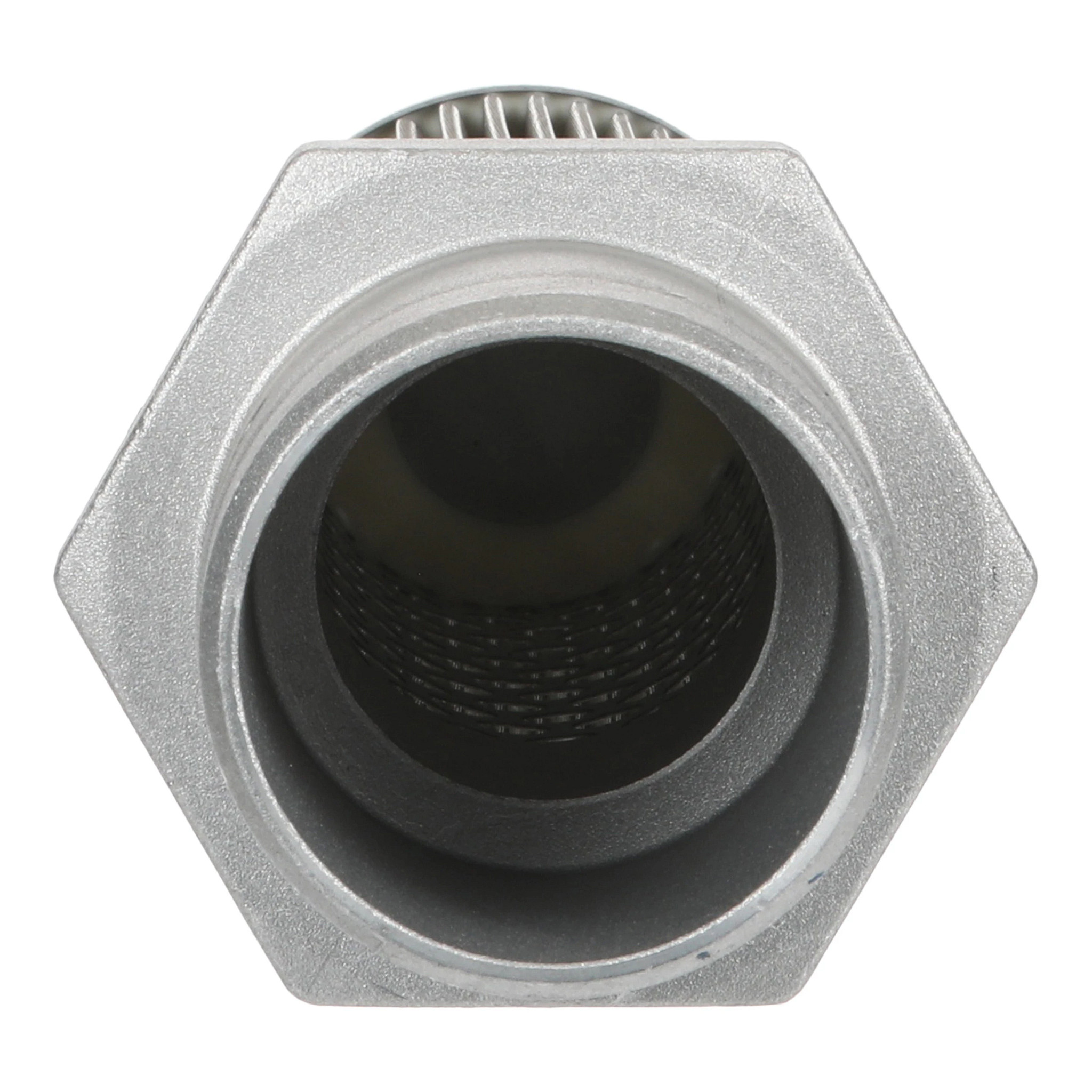 RETICELLA DEL FILTRO | CASEIH | EU | IT