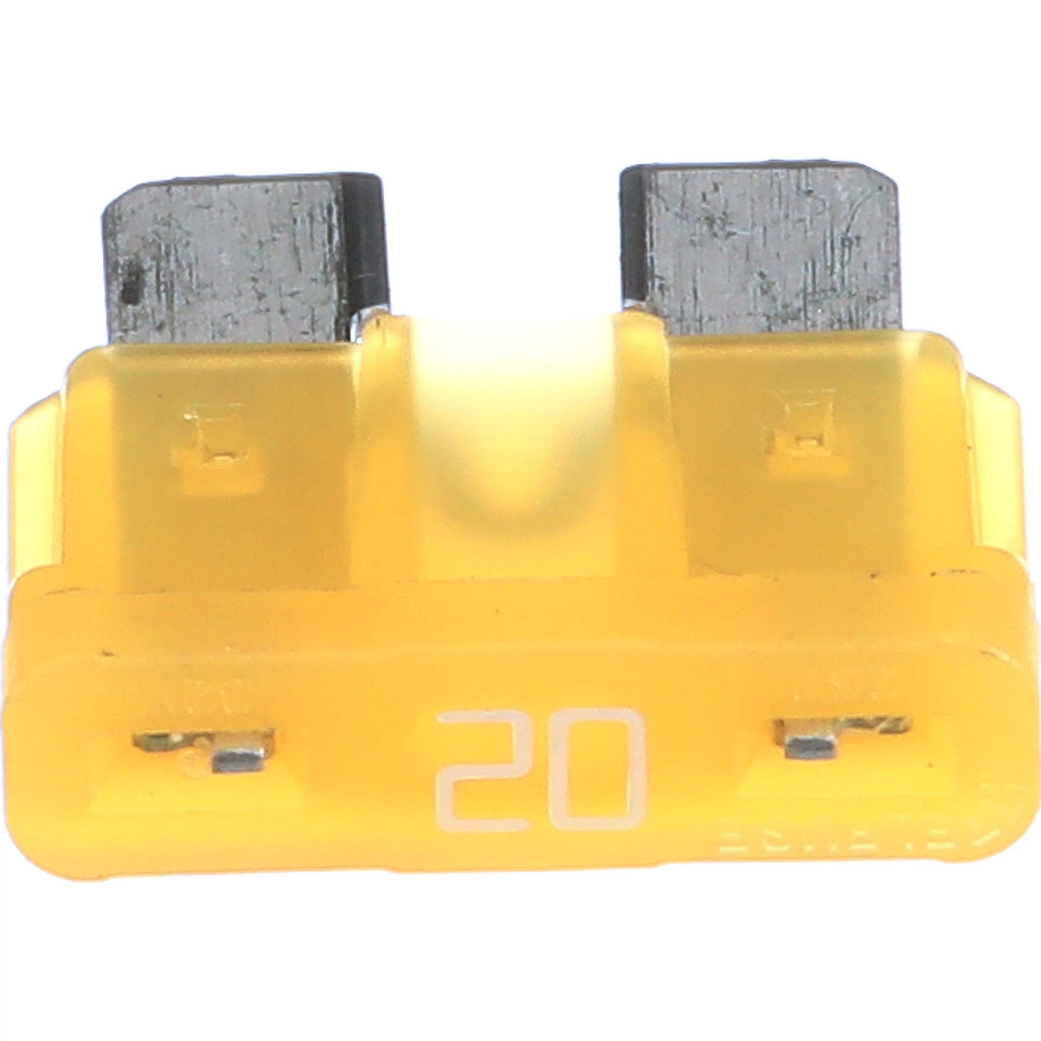 FUSE | CASEIH | CA | EN