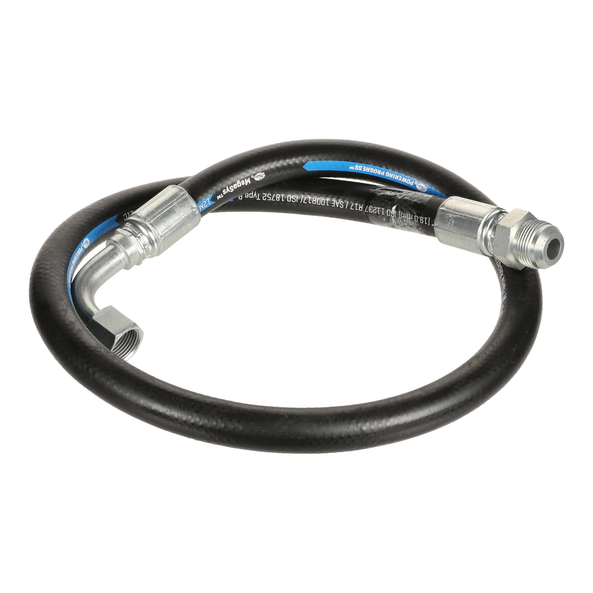 HOSE | CASECE | AMEA | EN