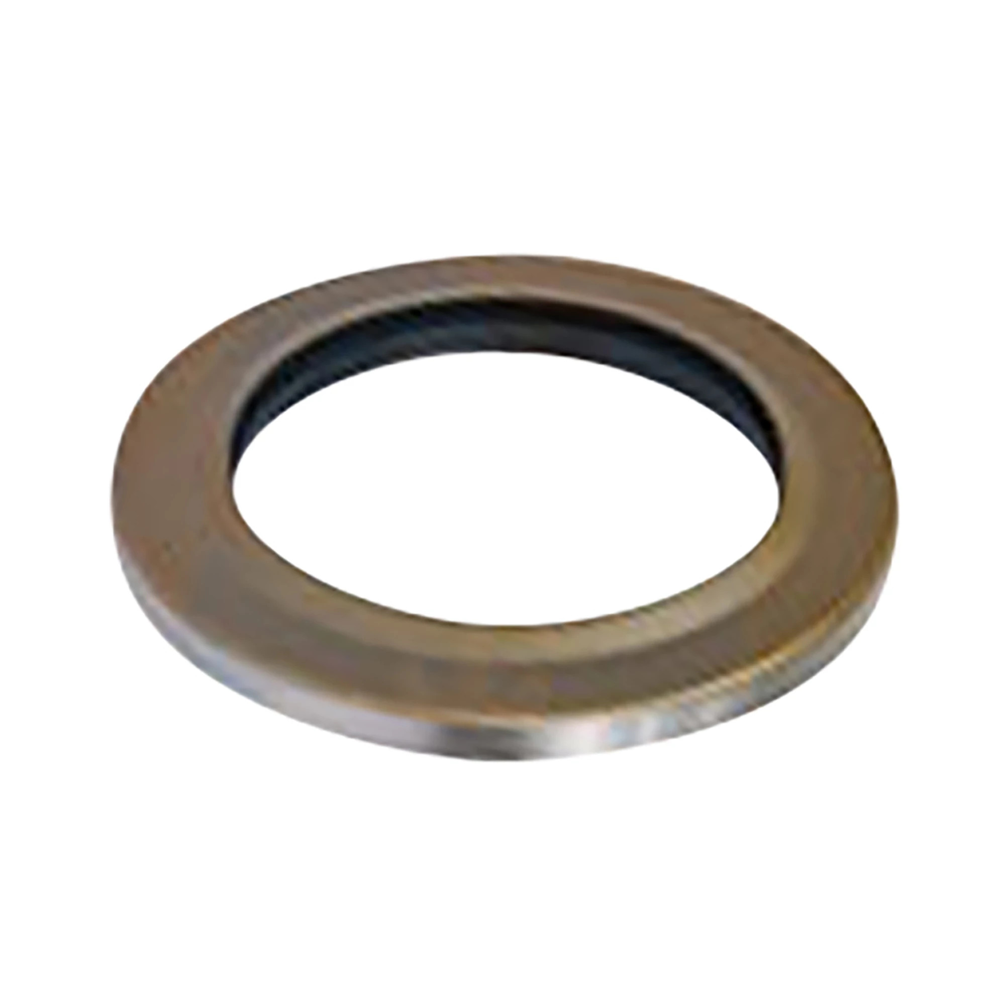 Inner Differential Bearing Retainer Seal | CASEIH | CA | EN