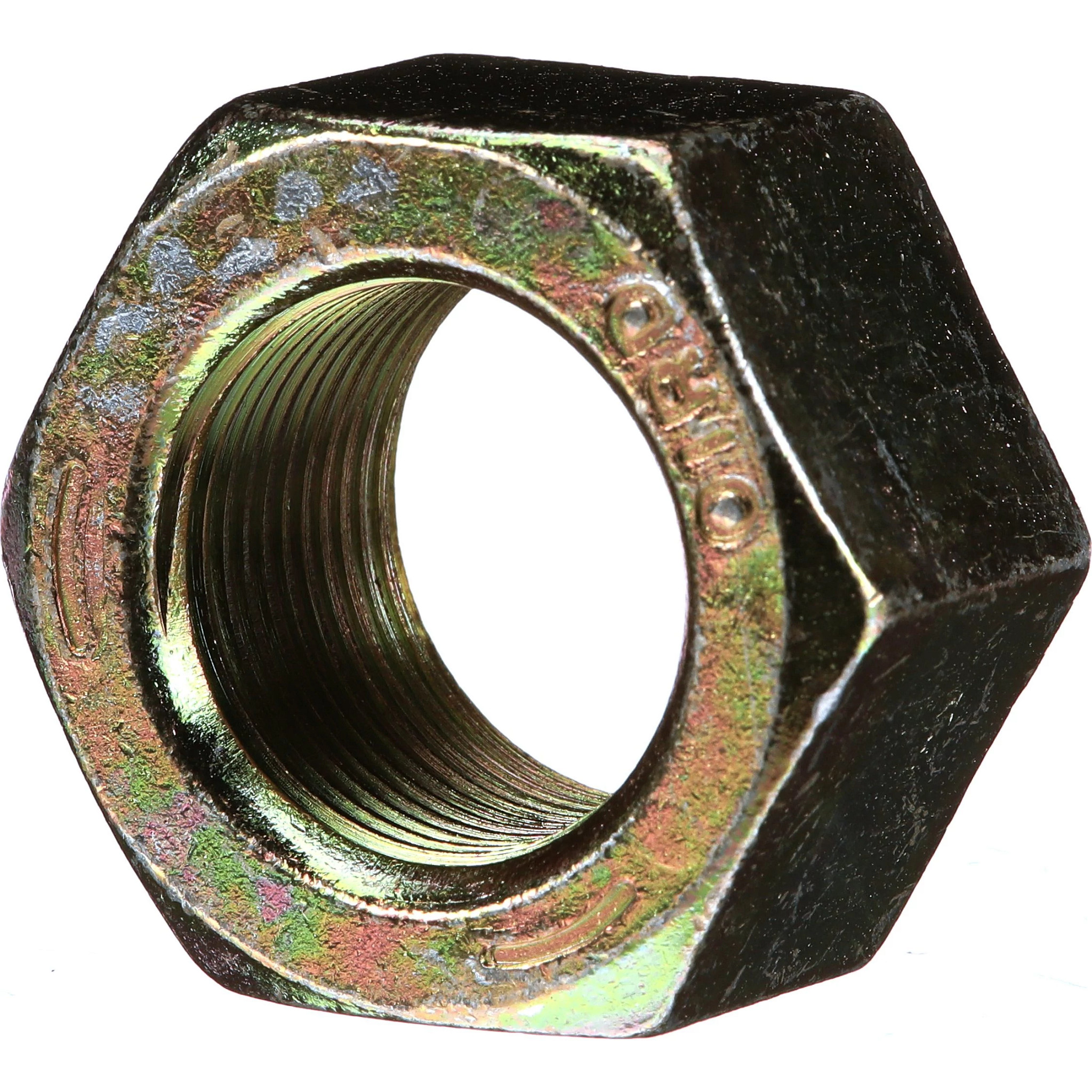 PORCA | CASECE | EU | PT