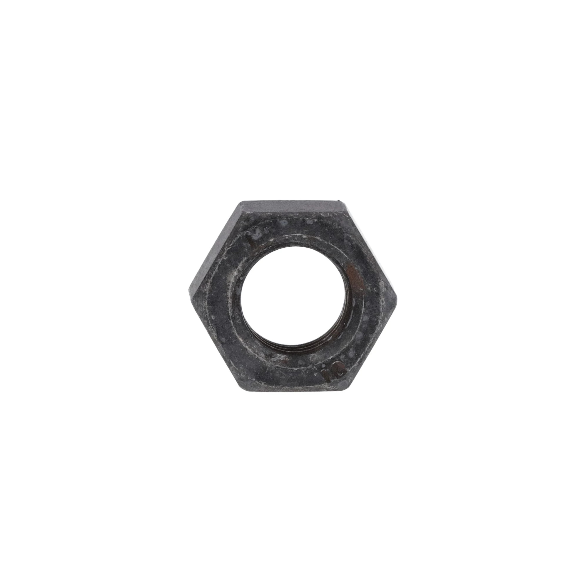 PORCA | CASECE | EU | PT