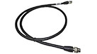 Cable Extension | CASECE | CA | EN