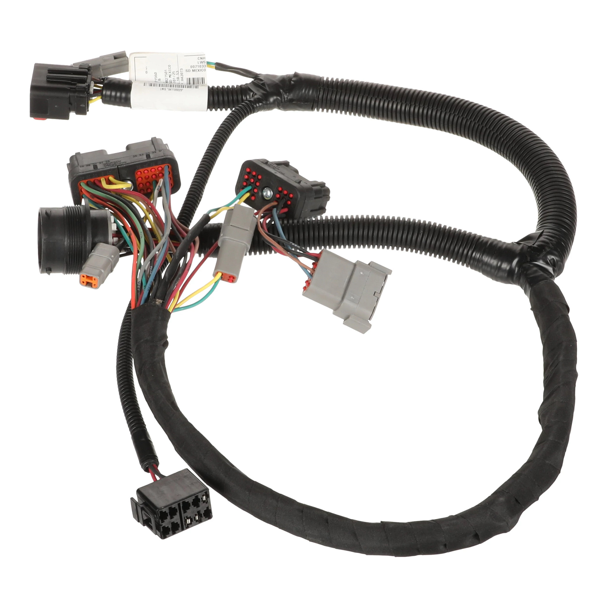 HARNESS | CASECE | CA | EN