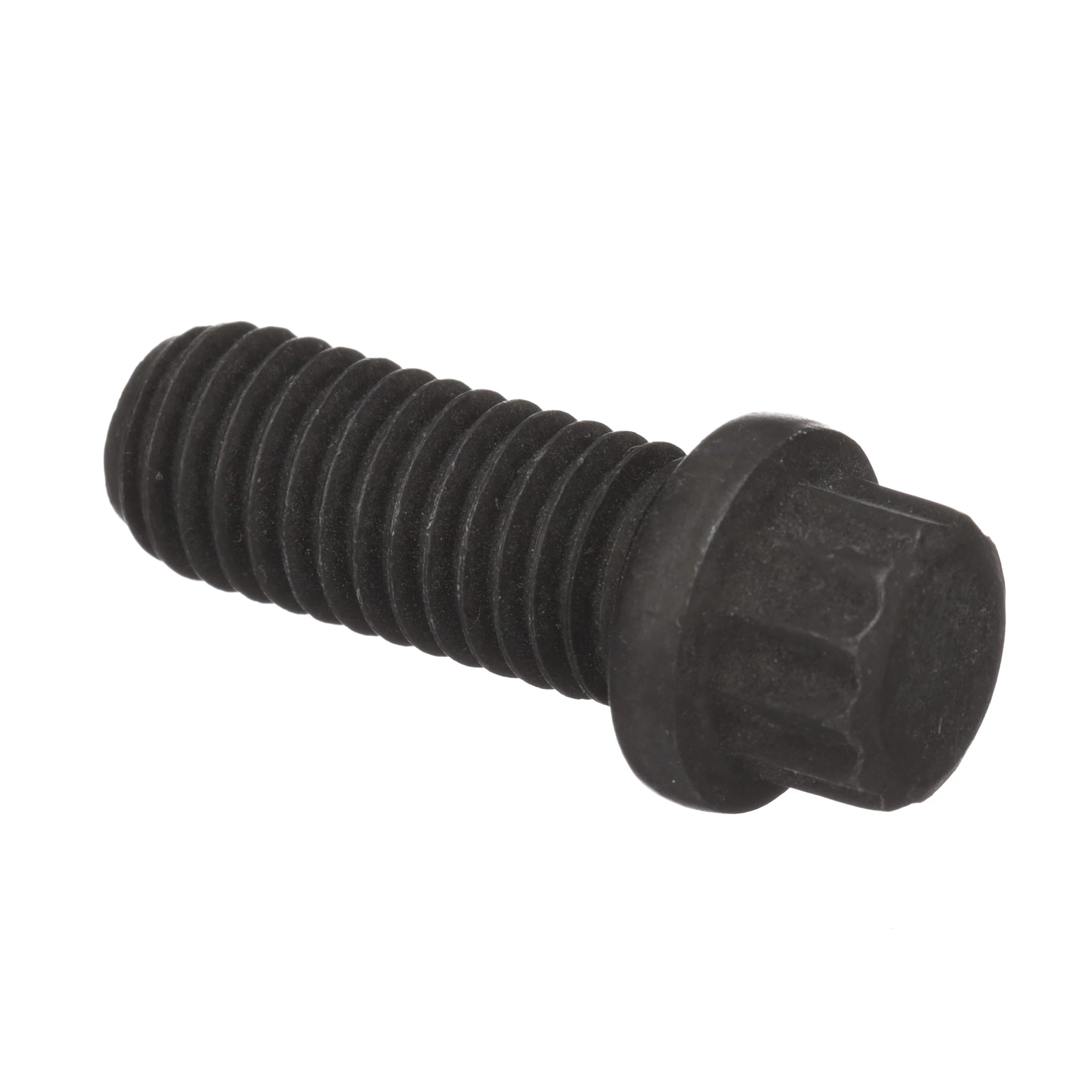 Screw | CASECE | BR | PT