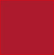 MS 3 Red 1988 Enamel Paint - Aerosol Can | CASEIH | NZ | EN