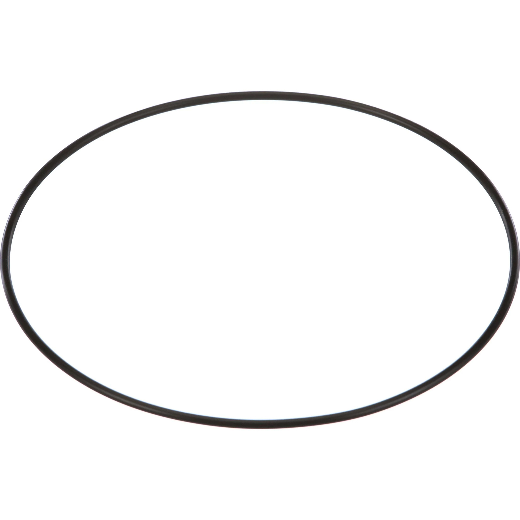 JOINT TORIQUE | CASEIH | CA | EN