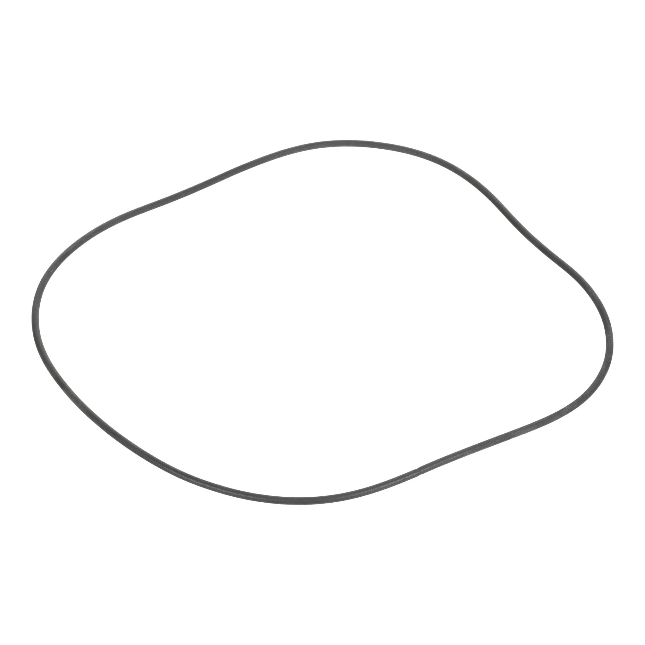O-Ring - 251827A1