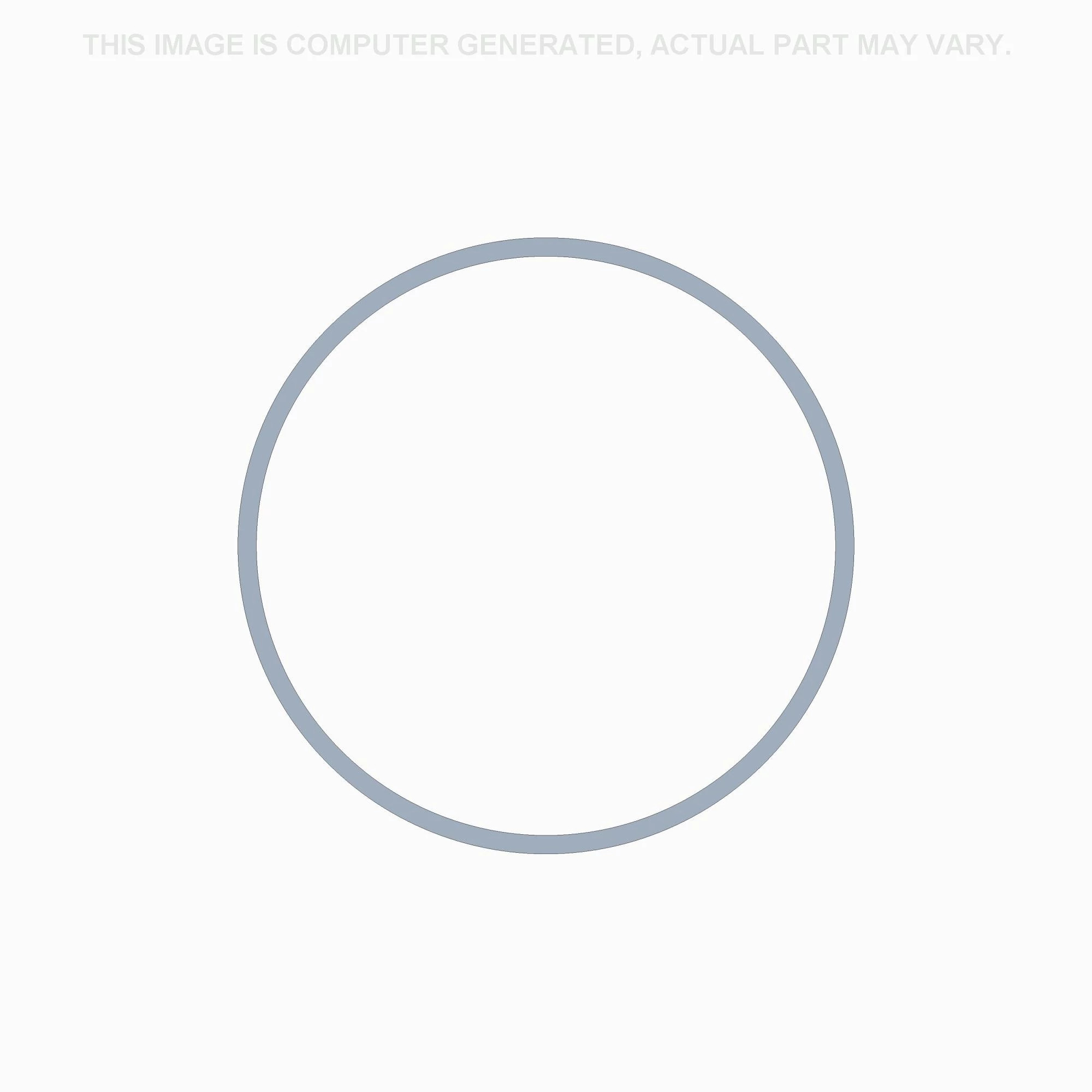 ANILLO DE SEGURIDAD | CASEIH | EU | ES