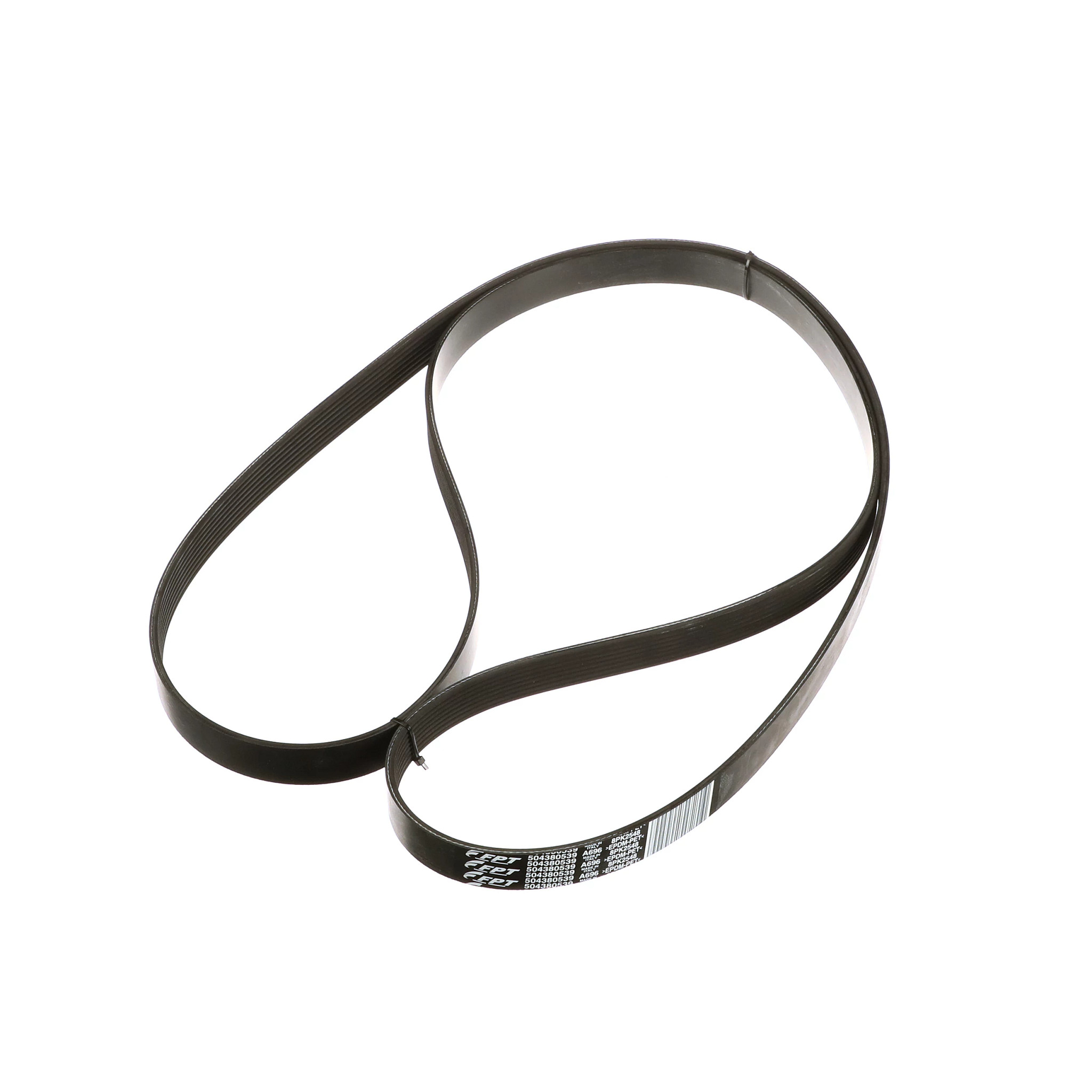 Belt | CASECE | BR | PT