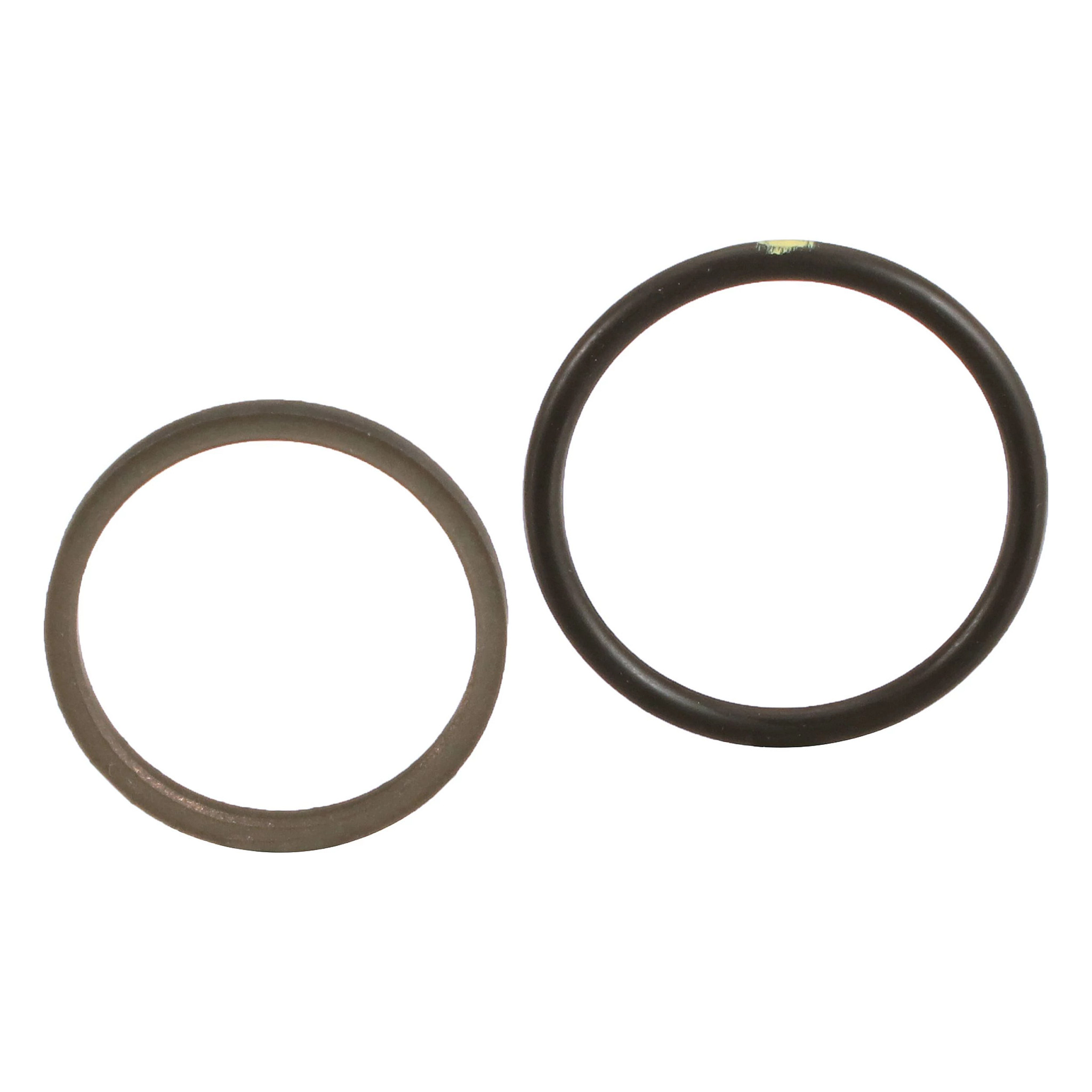 SEALING RING | CASEIH | IE | EN