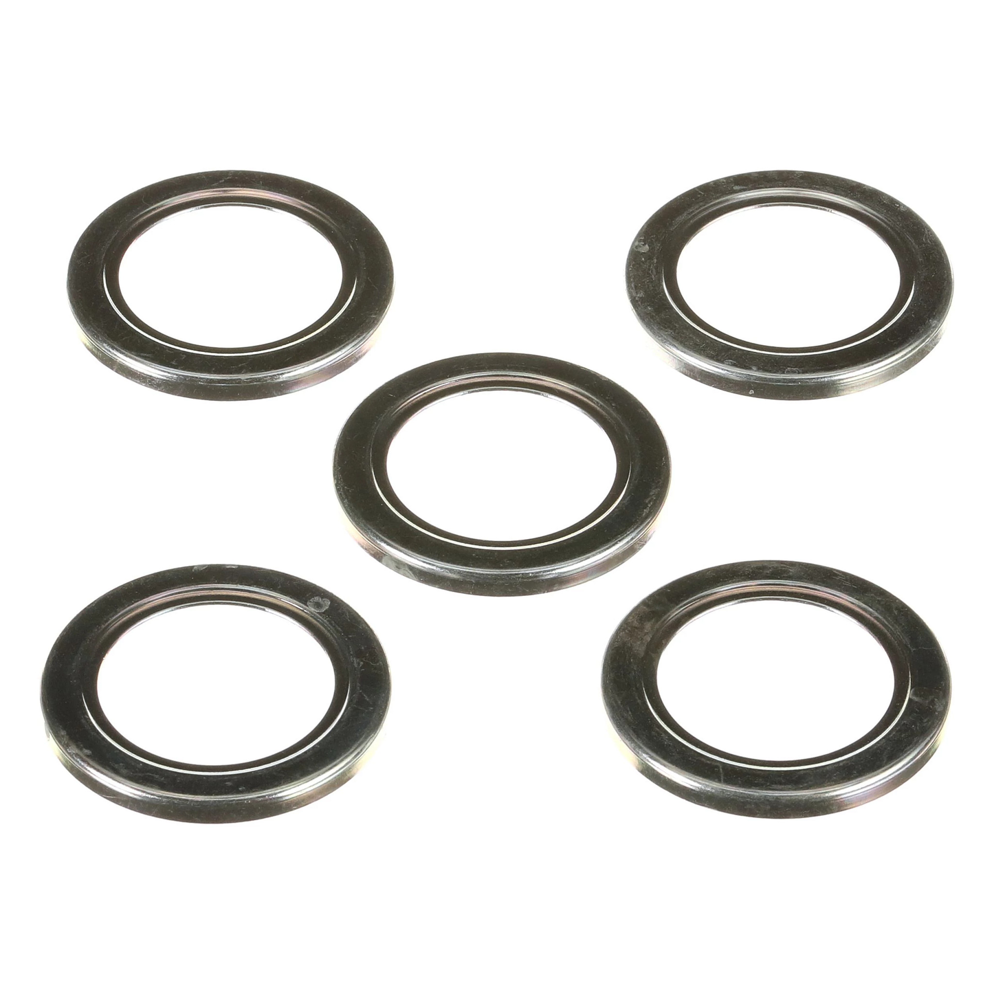 DICHTINGSBESCHERMING | CASEIH | EU | NL