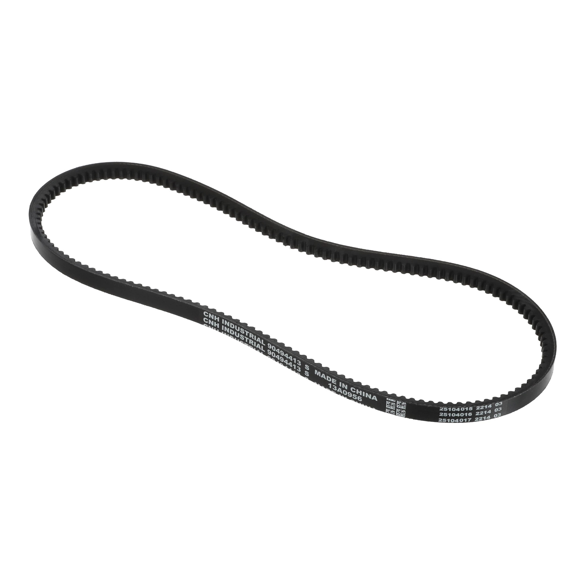 Belt | CASECE | US | EN