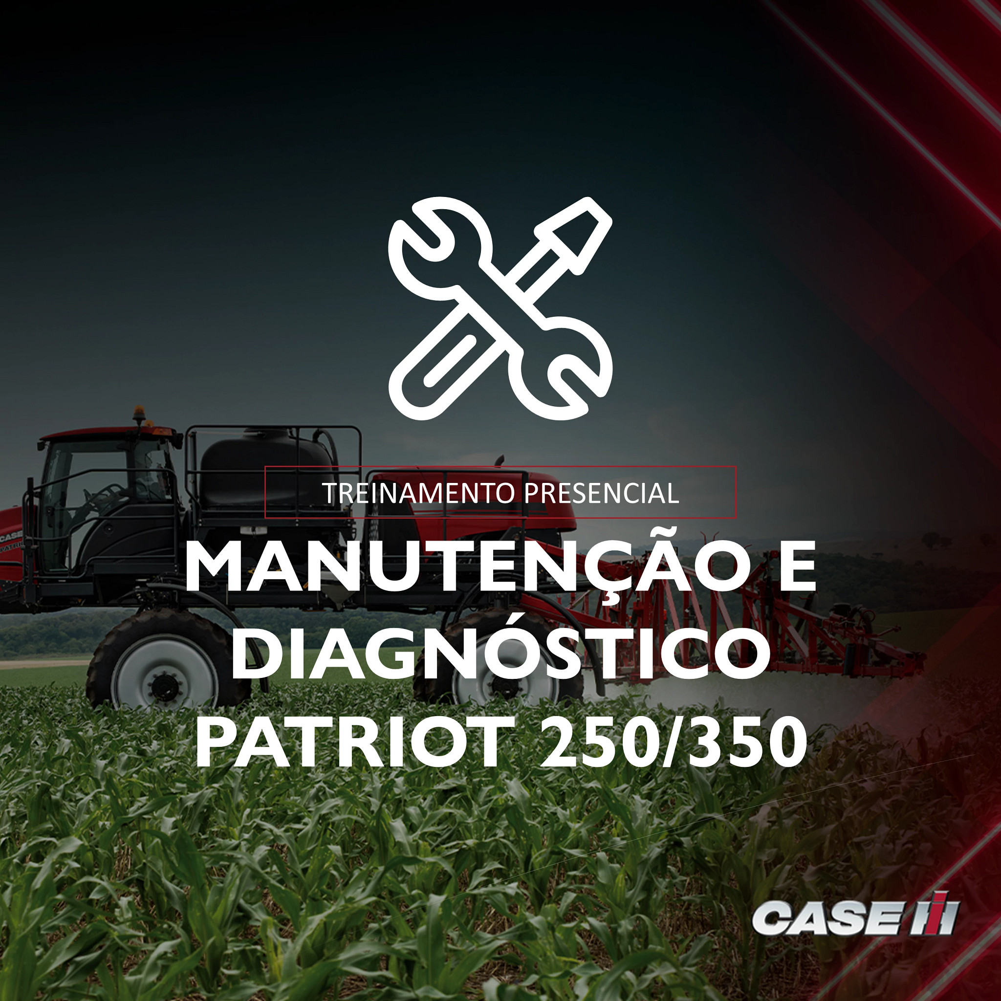 Treinamento Presencial Manutenção Avançada e Diagnóstico  - Patriot 250/350