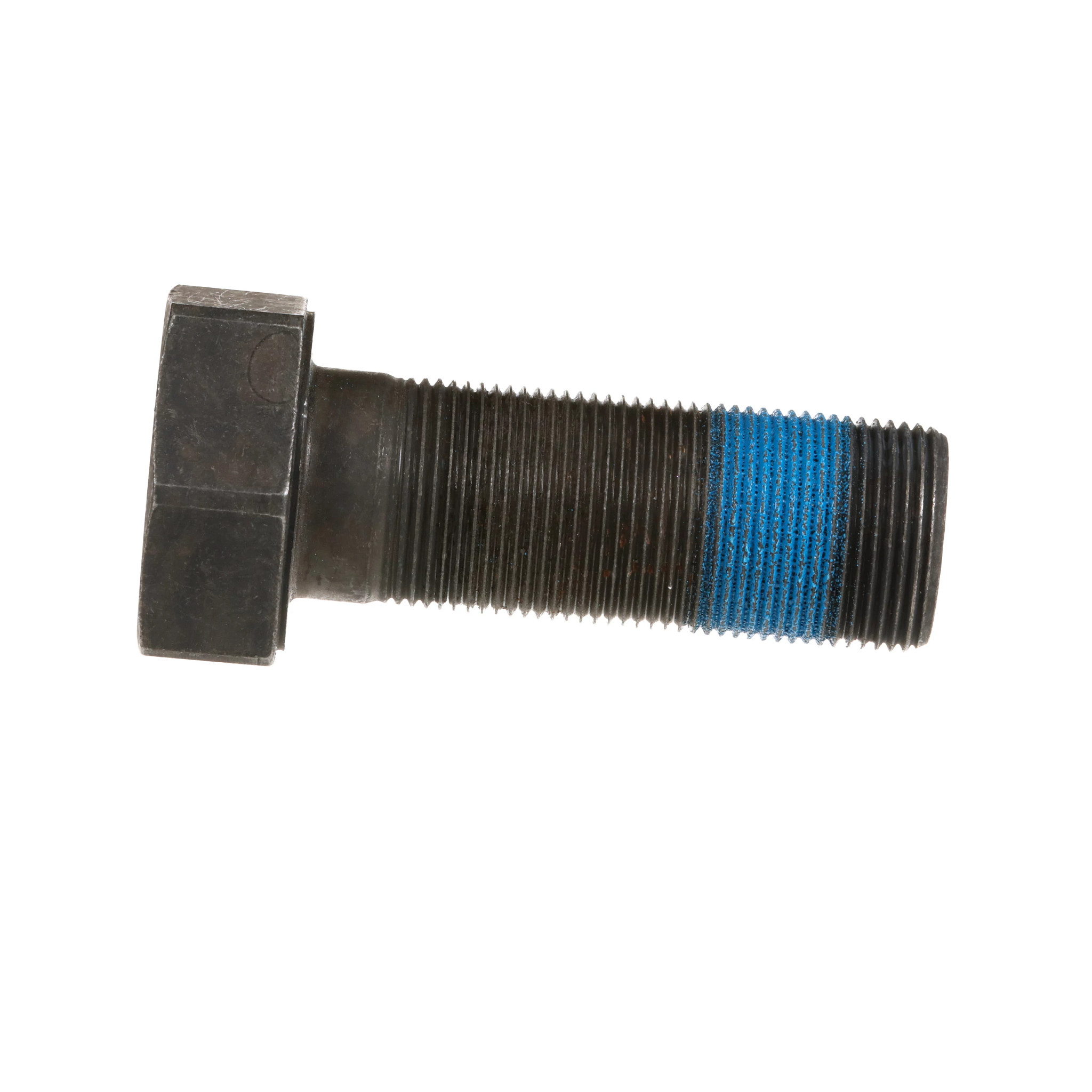 Parafuso | CASECE | BR | PT