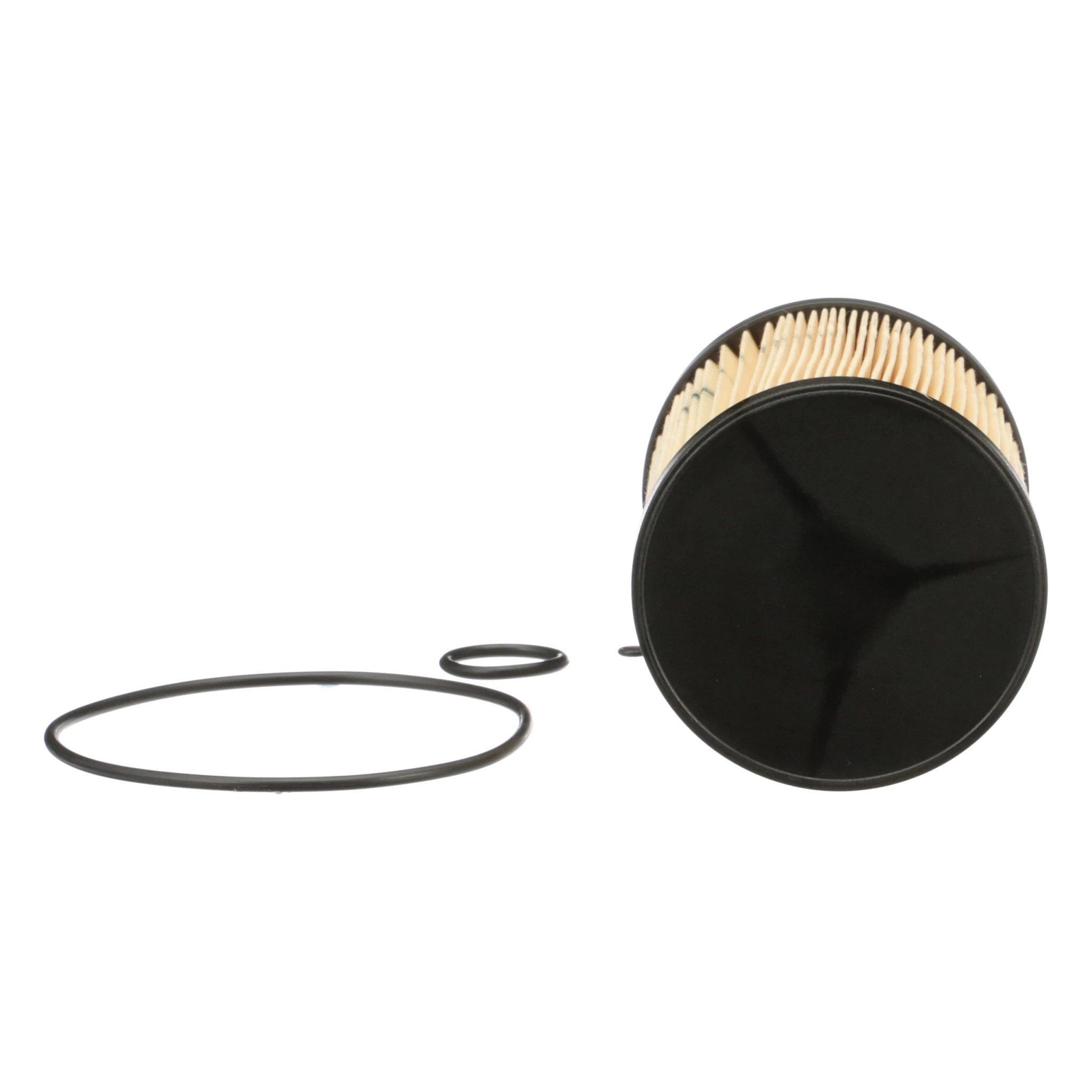 FILTR PALIWA | CASECE | EU | EN