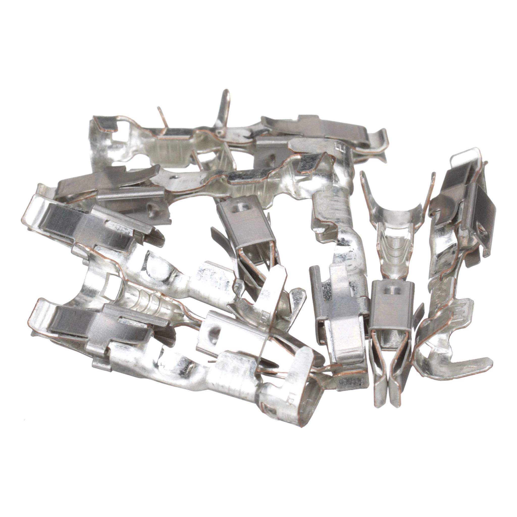 TERMINAL | CASECE | US | EN