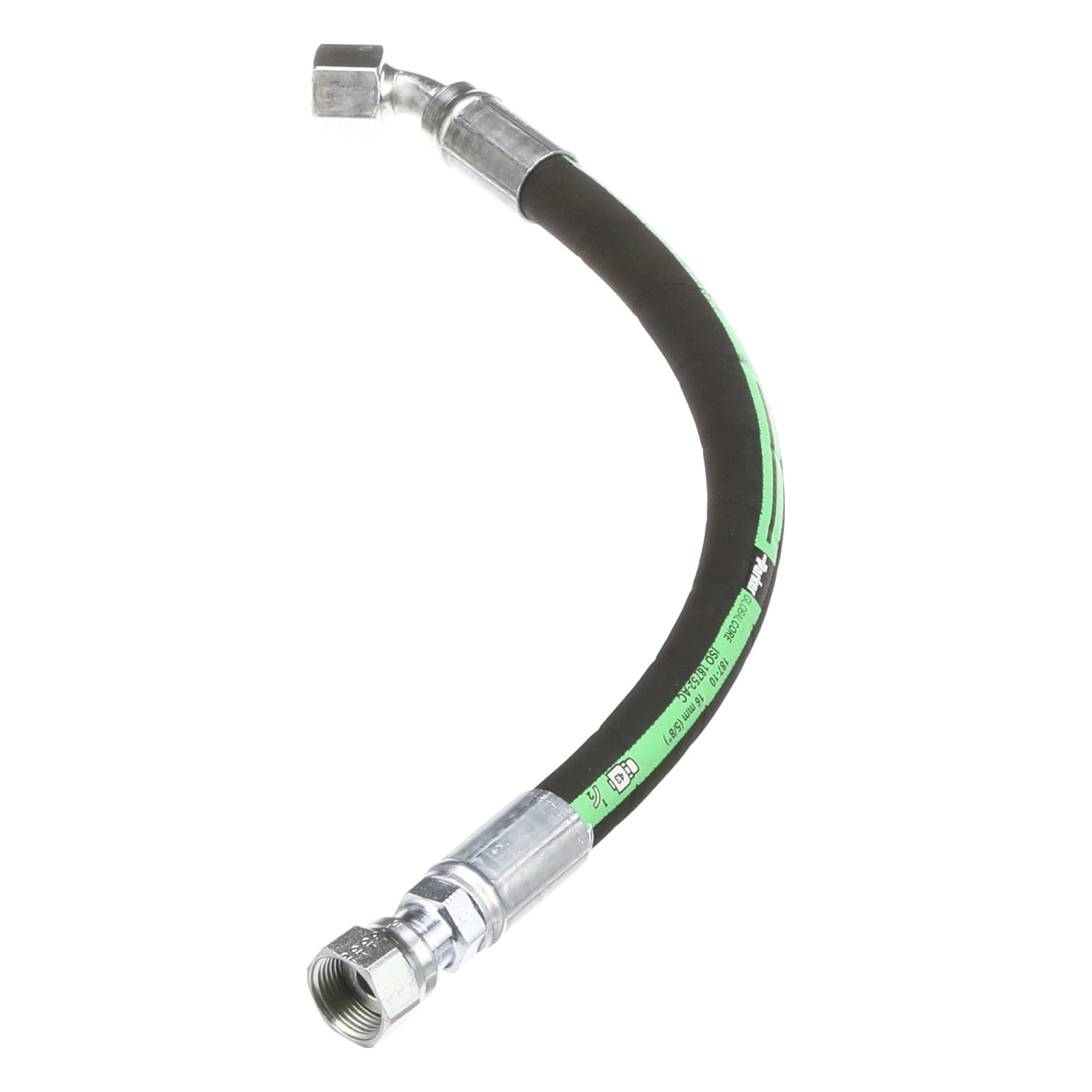 MANGUEIRA | CASECE | SA | PT