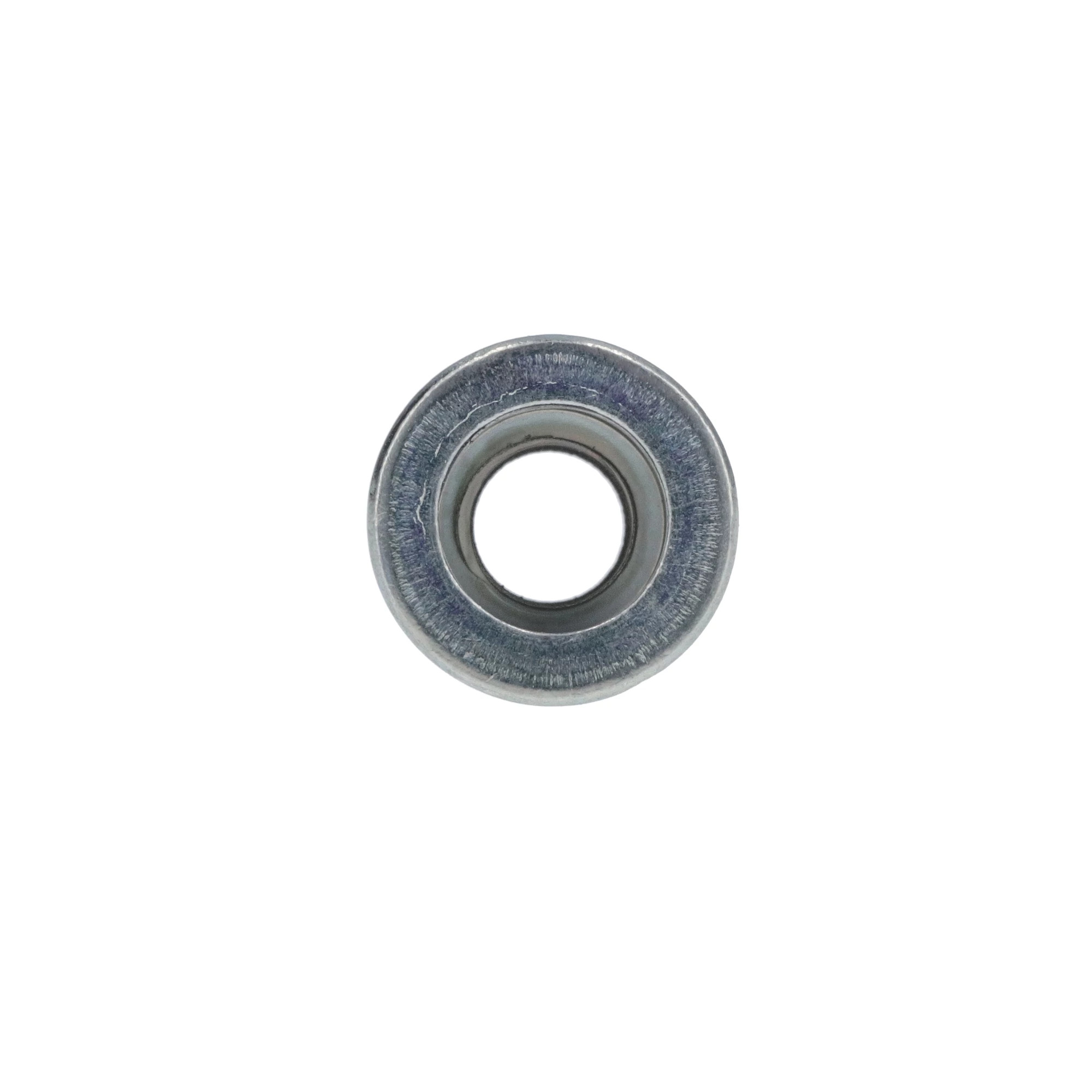 NUT | CASECE | CA | EN