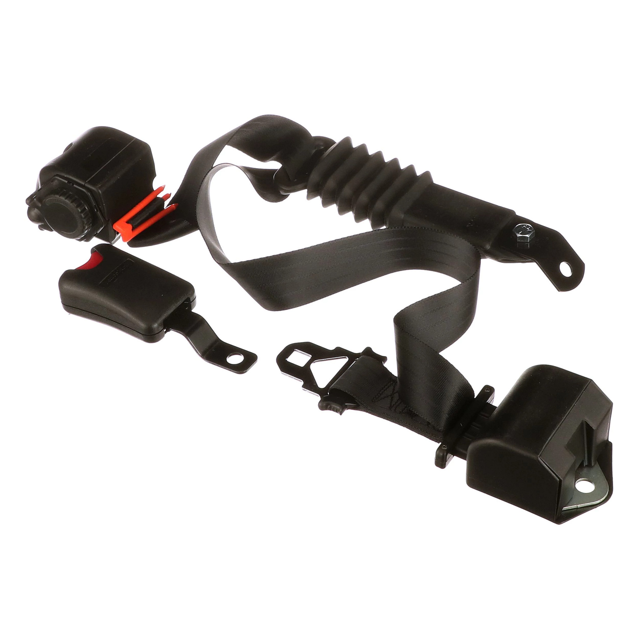 CINTURON SEGURIDA | CASECE | EU | ES