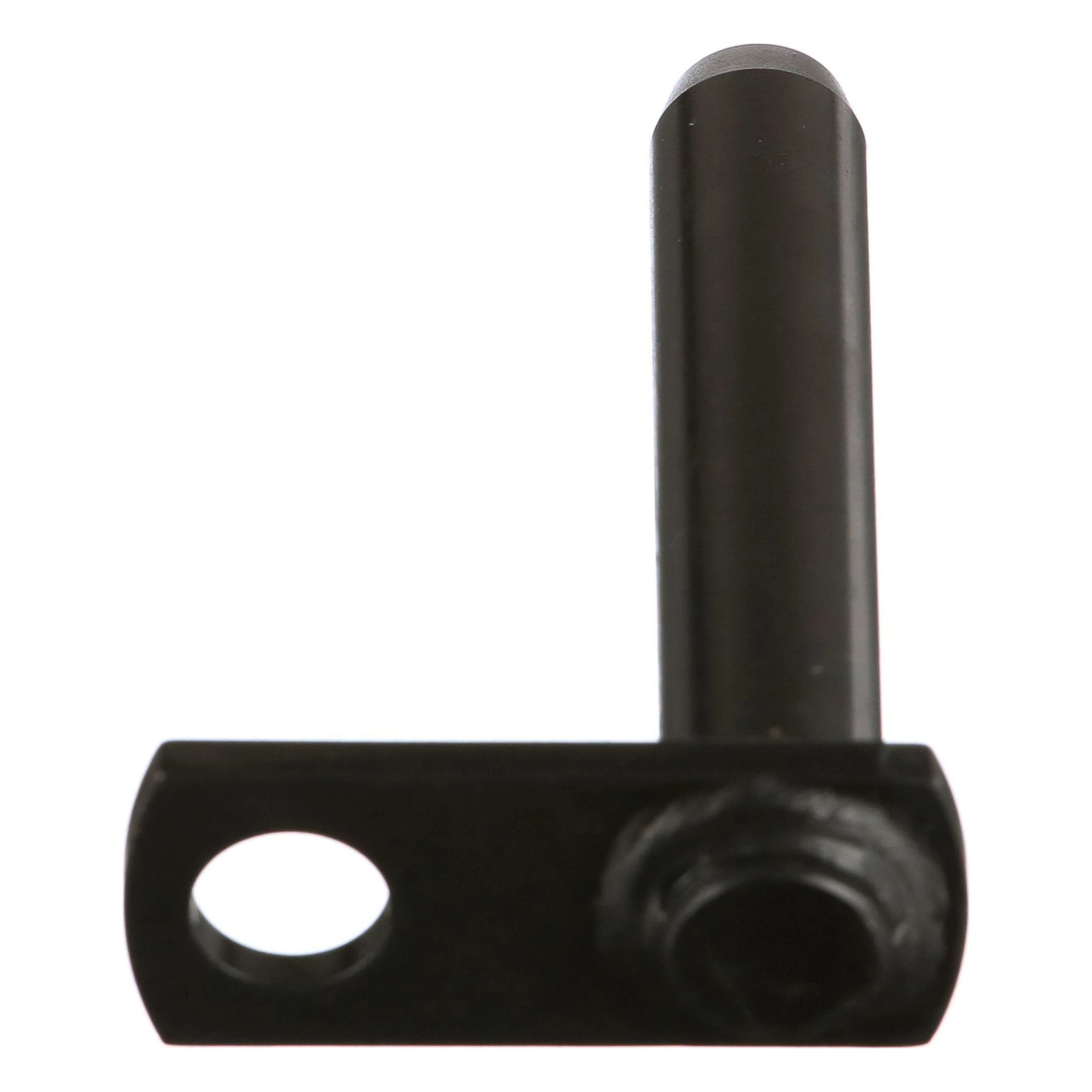 KOPFZAPFEN | CASECE | EU | FR