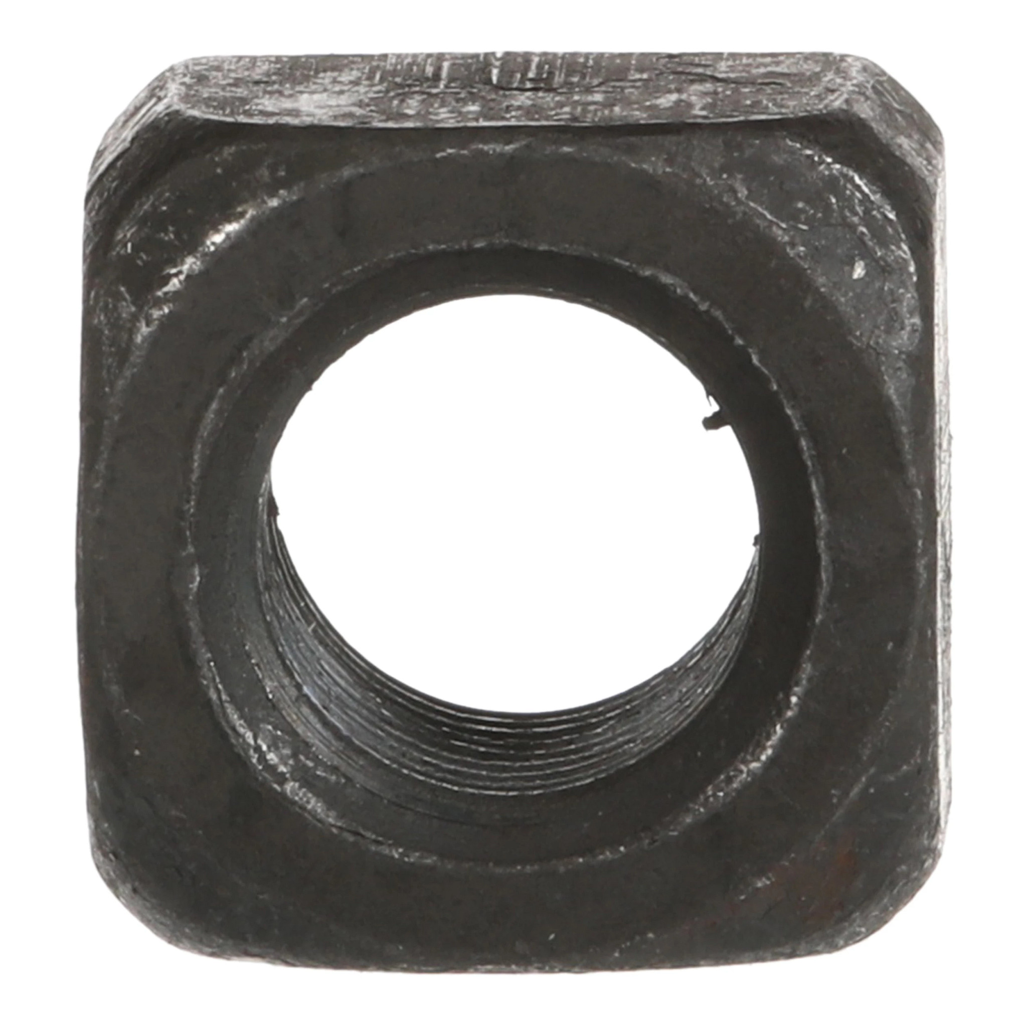 NUT | CASECE | CA | EN
