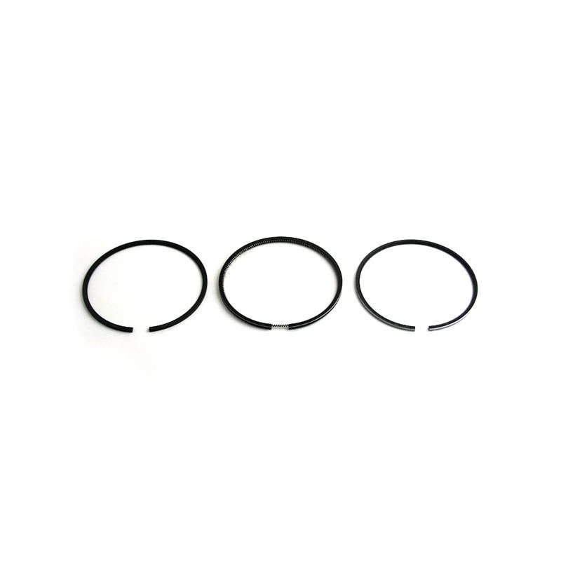 Piston Ring Set | CASECE | US | EN