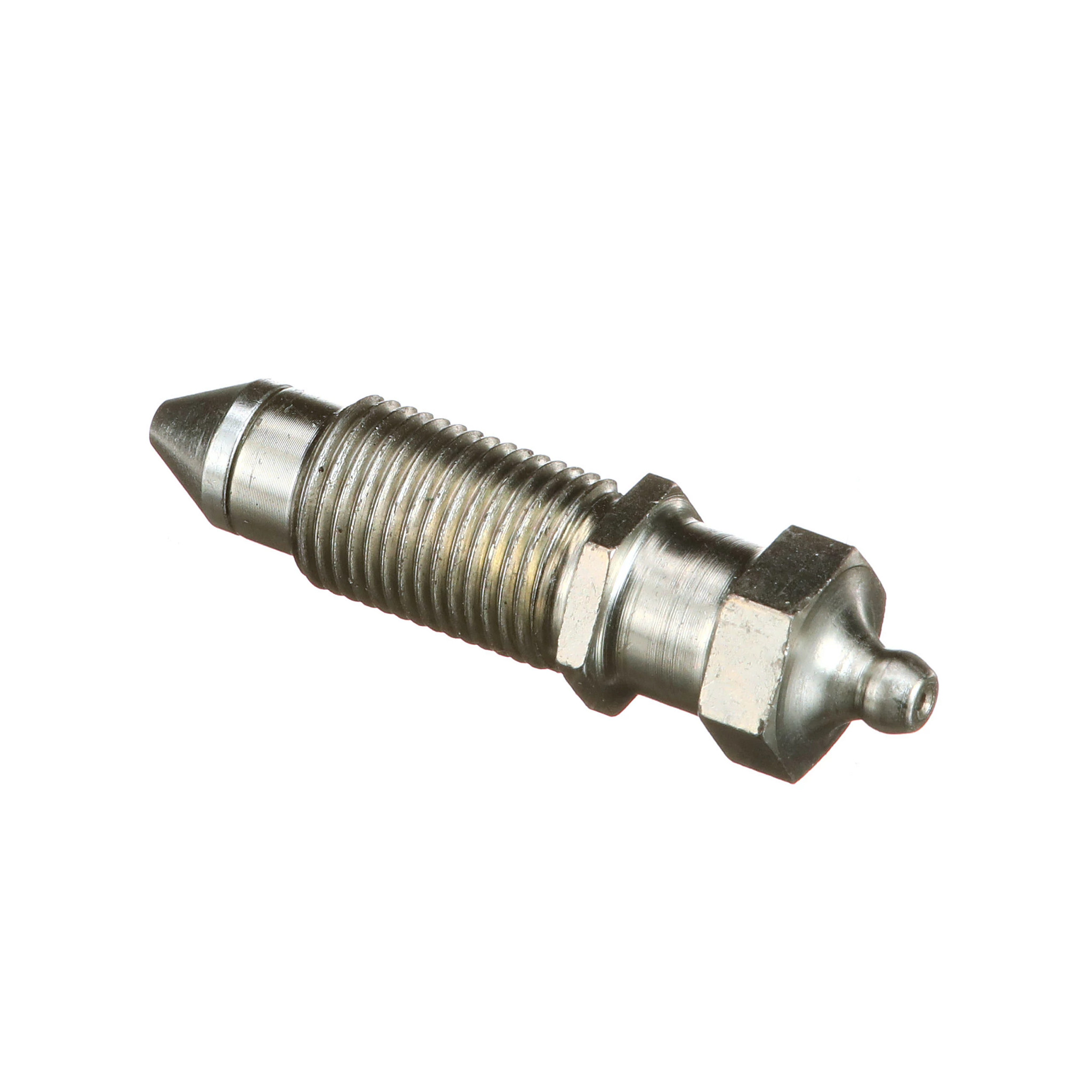 Bico da graxeira | CASECE | BR | PT