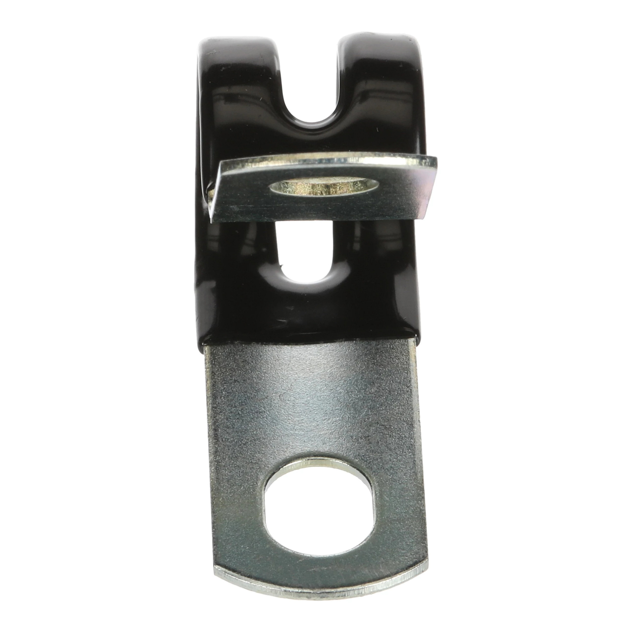 CLIP | CASECE | US | EN