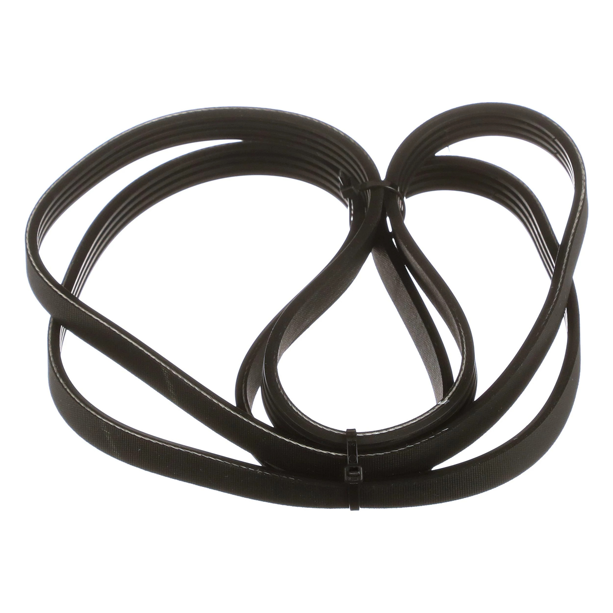 BELT | CASECE | EU | FR