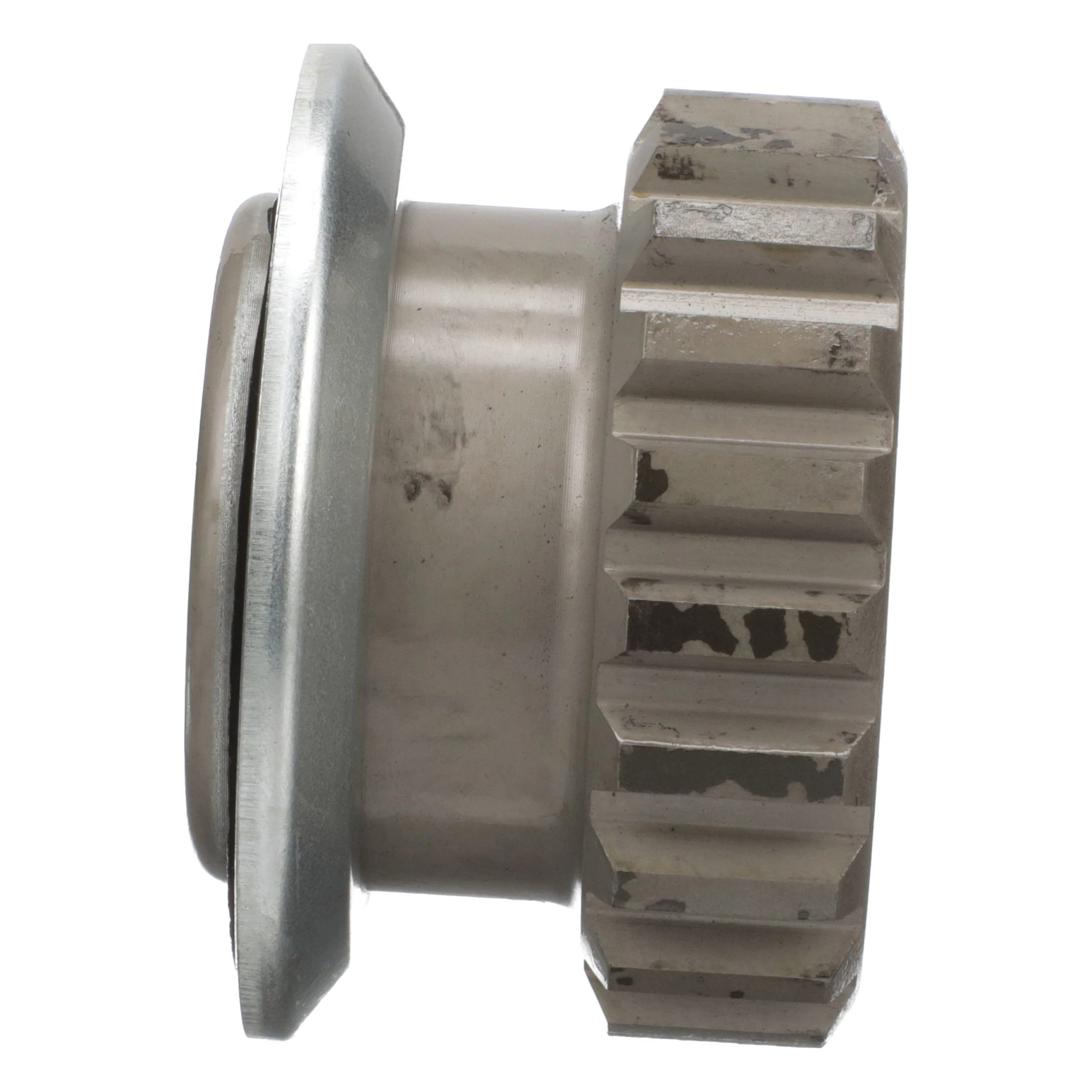 PINHAO TRANSPORTADOR