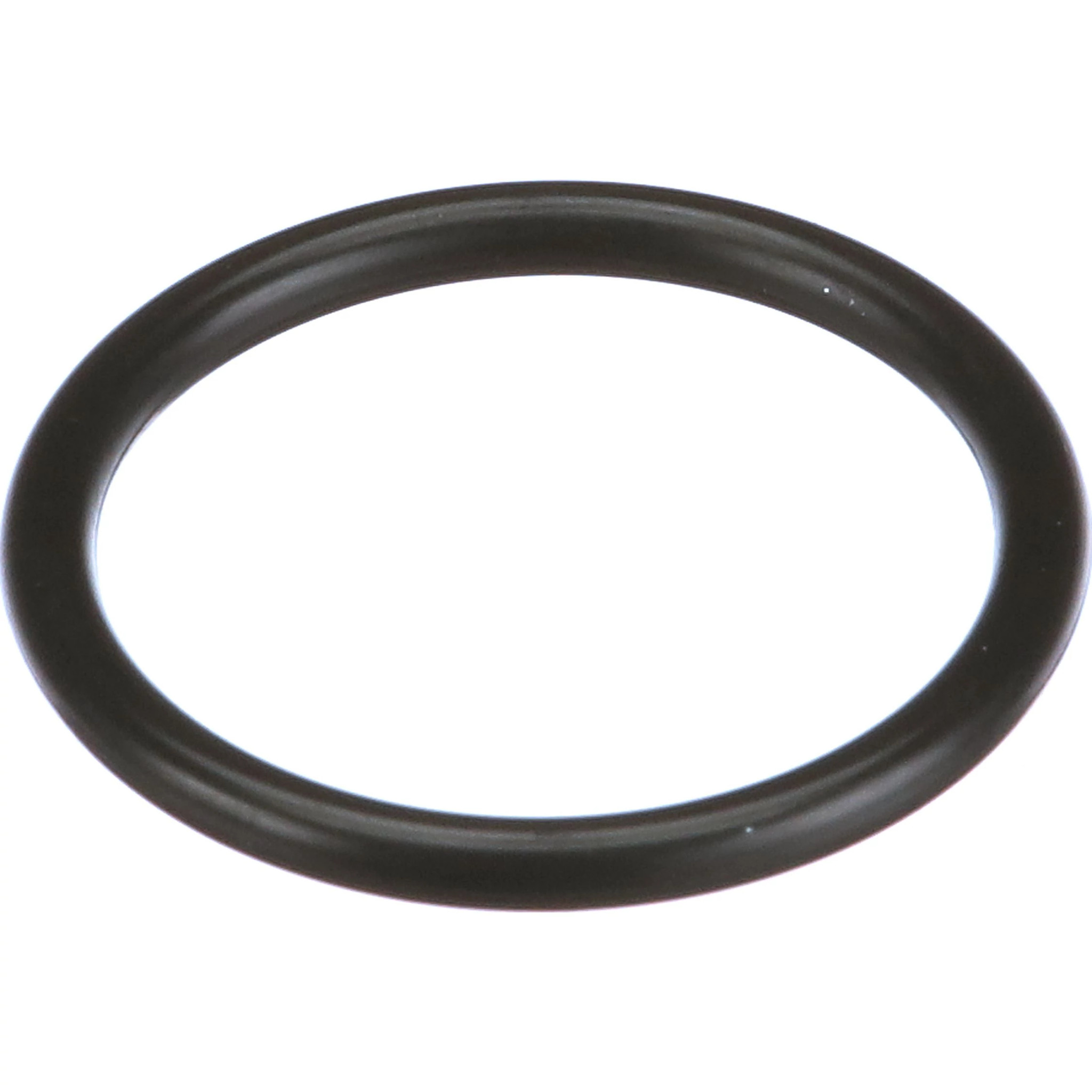 O-RING | CASECE | CA | EN