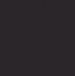 Pintura esmalte gris oscuro CNH - Bote de 1 litro | CASEIH | ES | ES