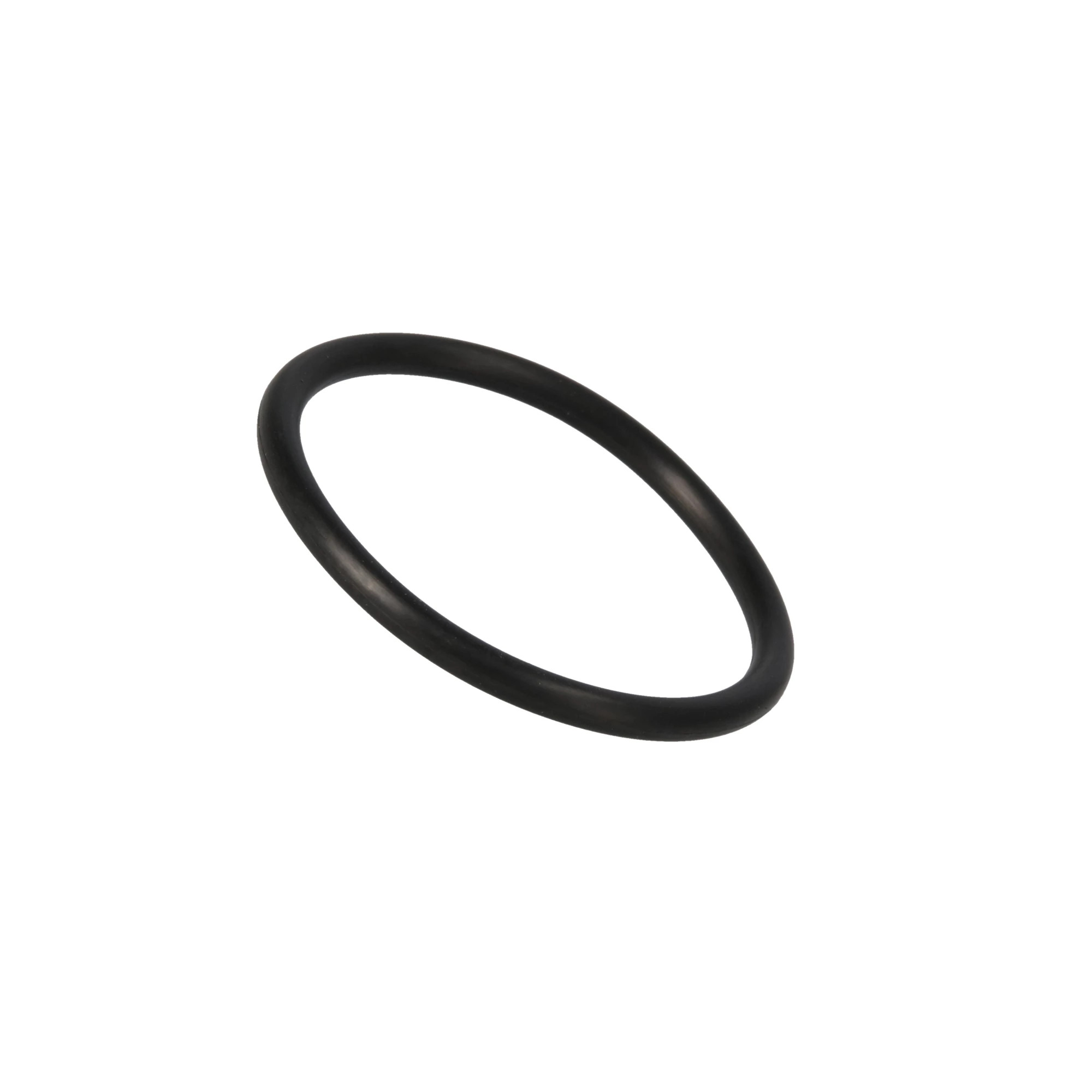 O-RING | CASEIH | AMEA | EN