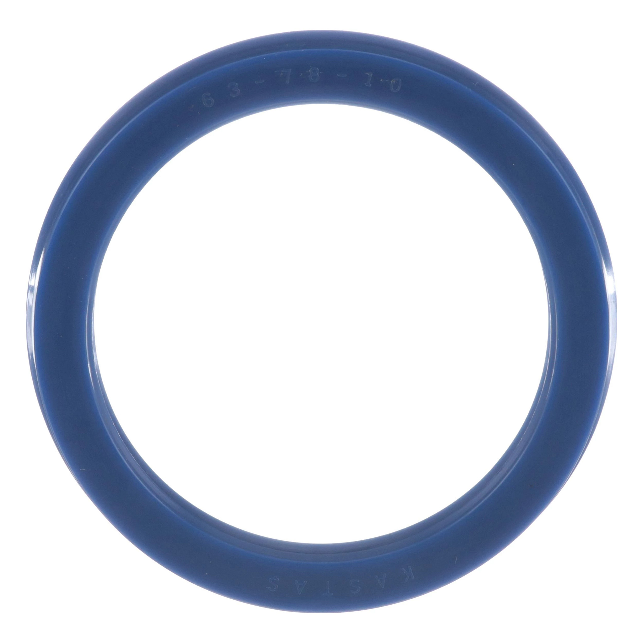 79065566 | O-RING | CASE Construction | MyCNH US Store