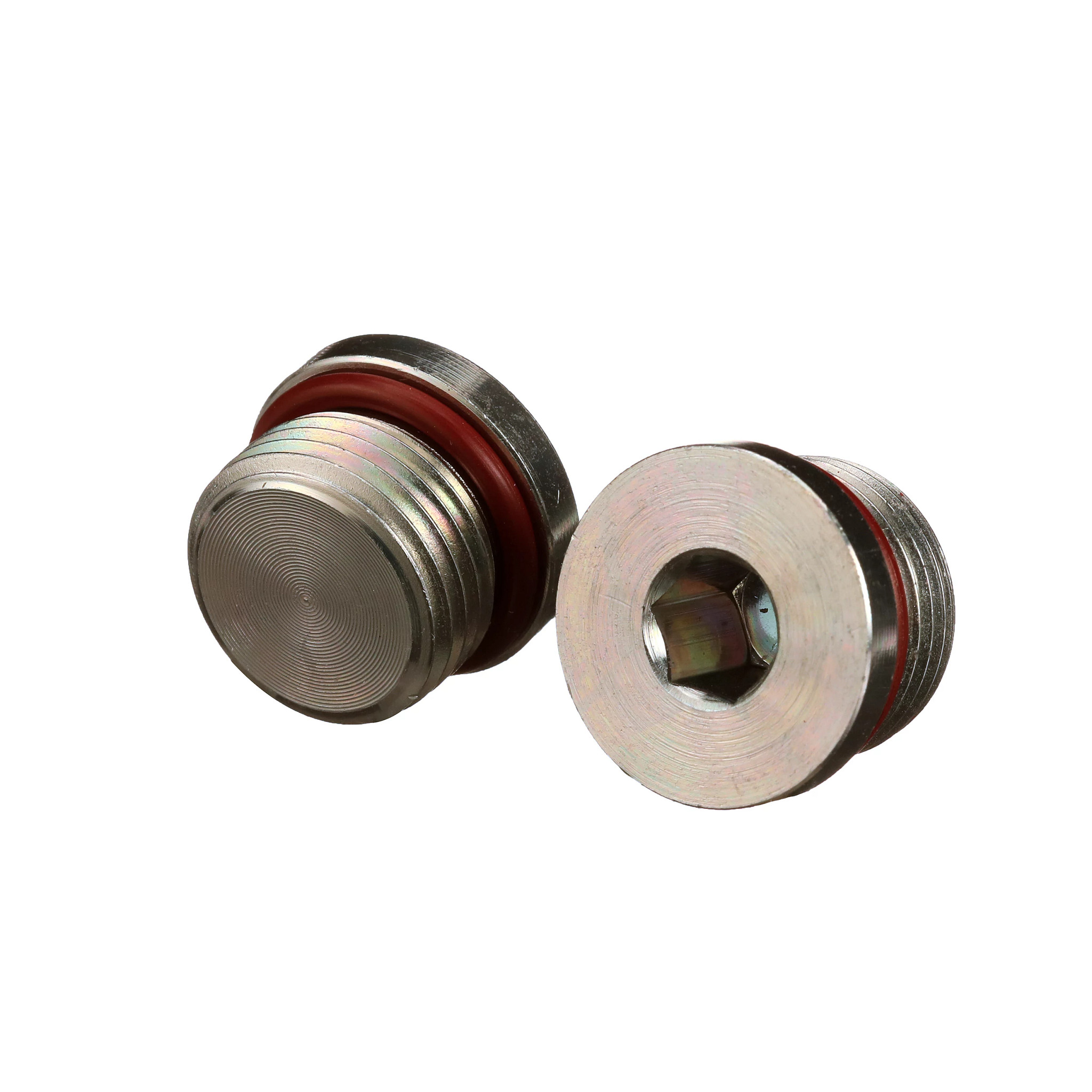 Plug Sextavado Interno | CASECE | BR | PT