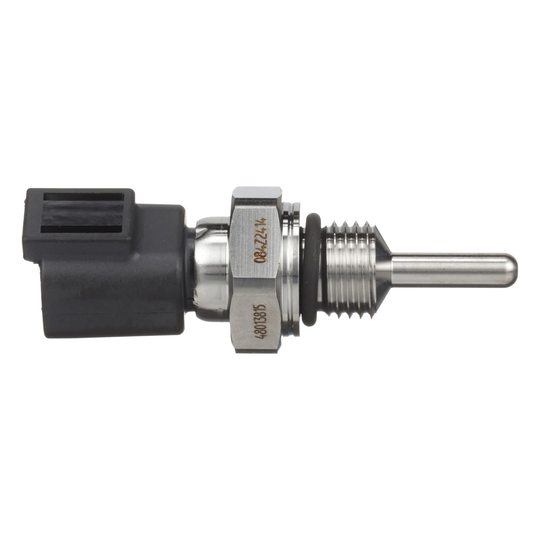 TERMOSONDA | CASECE | EU | PT