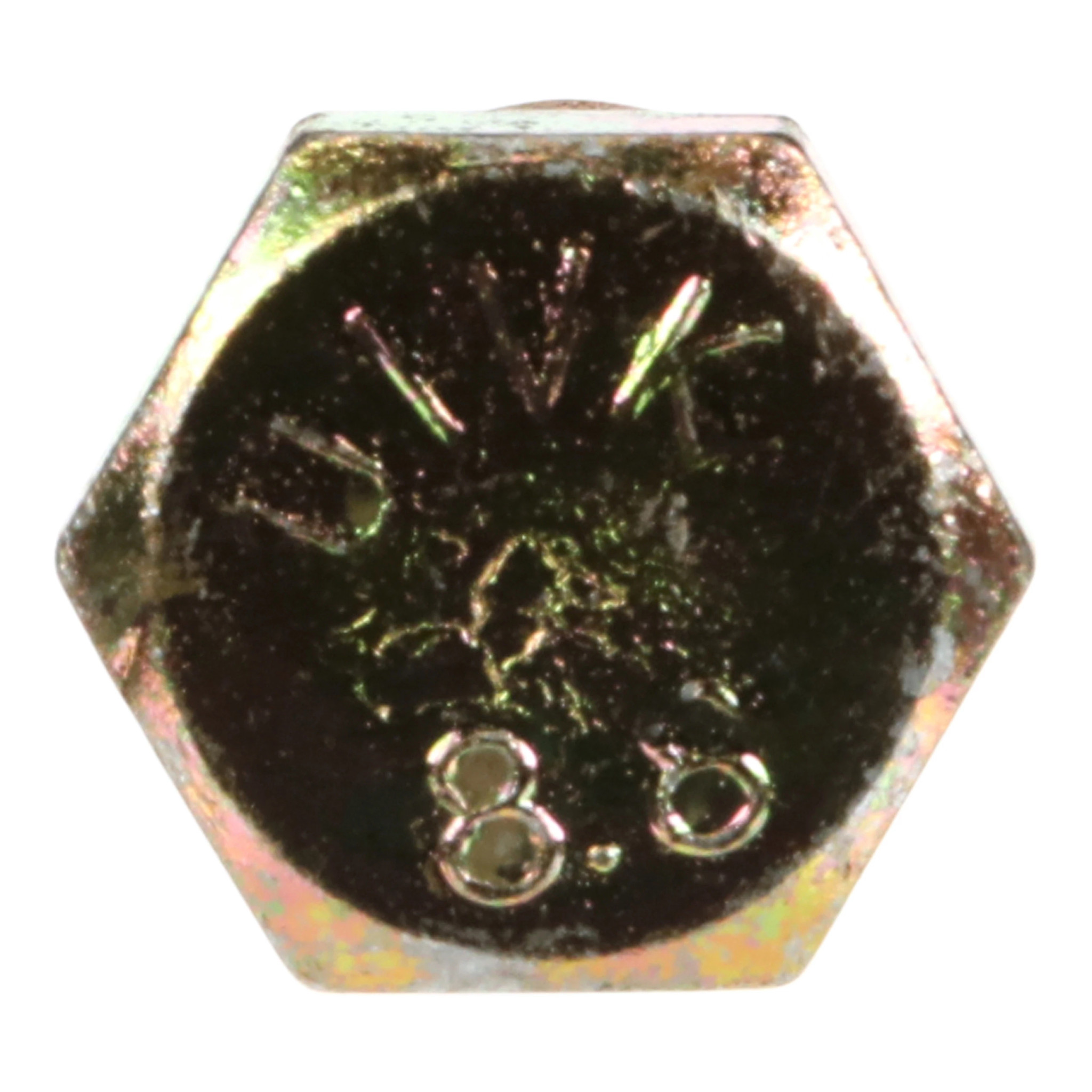 VIS | NEWHOLLANDAG | EU | NL