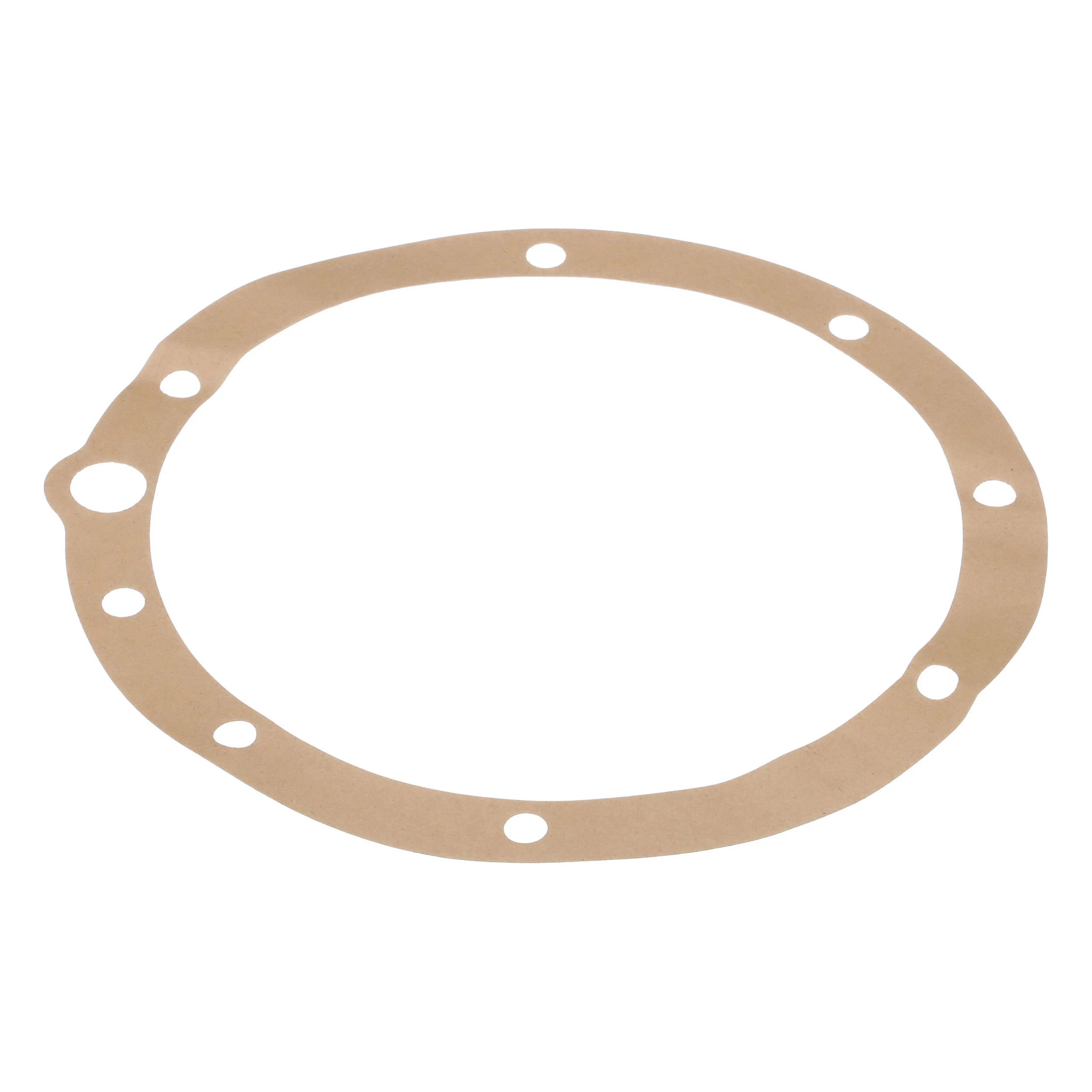 Engine Gasket