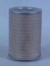 Filtre à air Fleetguard | CASEIH | CA | FR