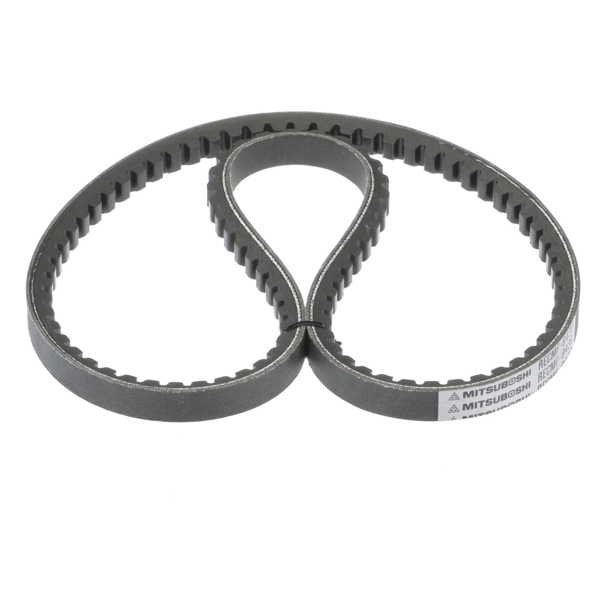 BELT | CASECE | AMEA | EN