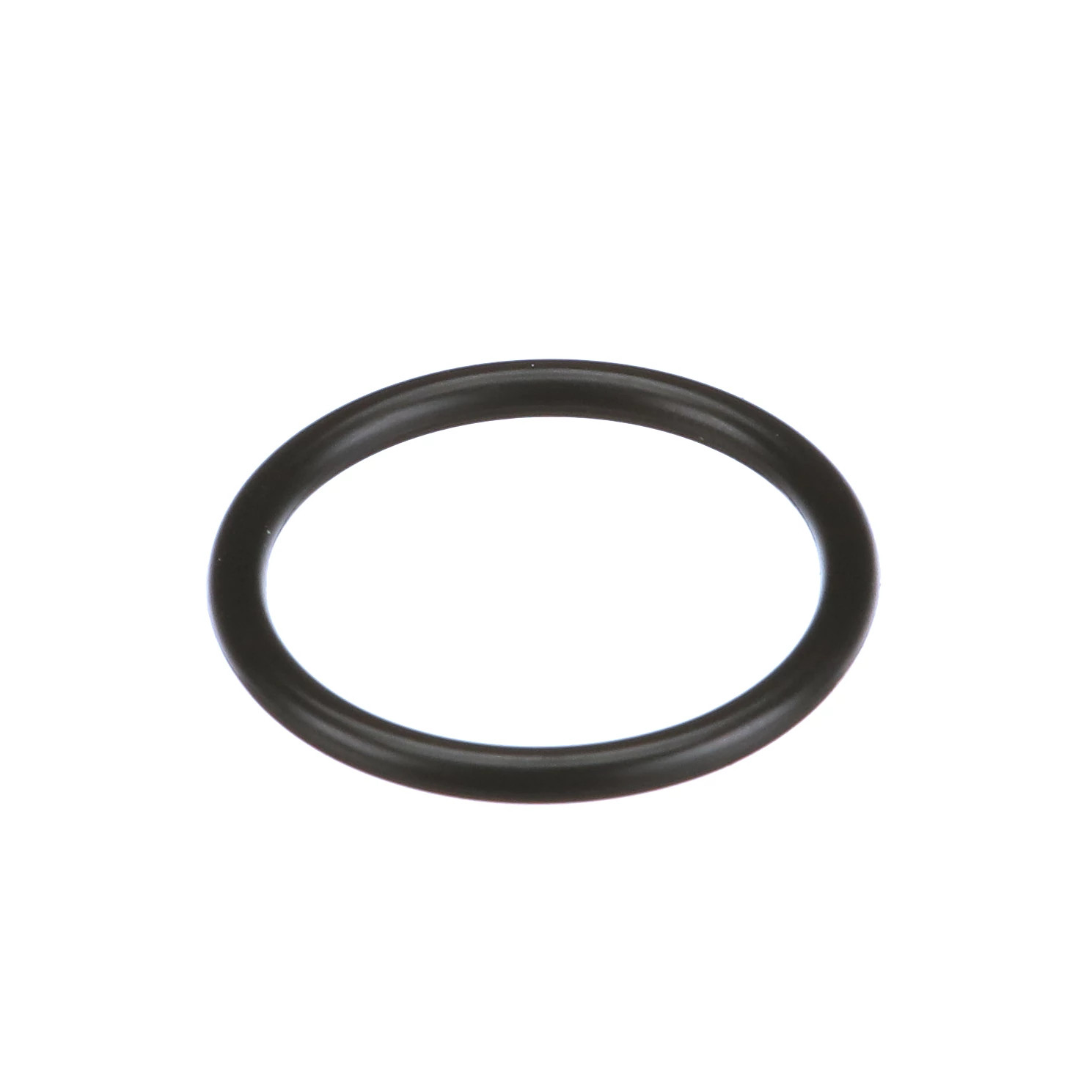 O-RING | CASECE | CA | EN