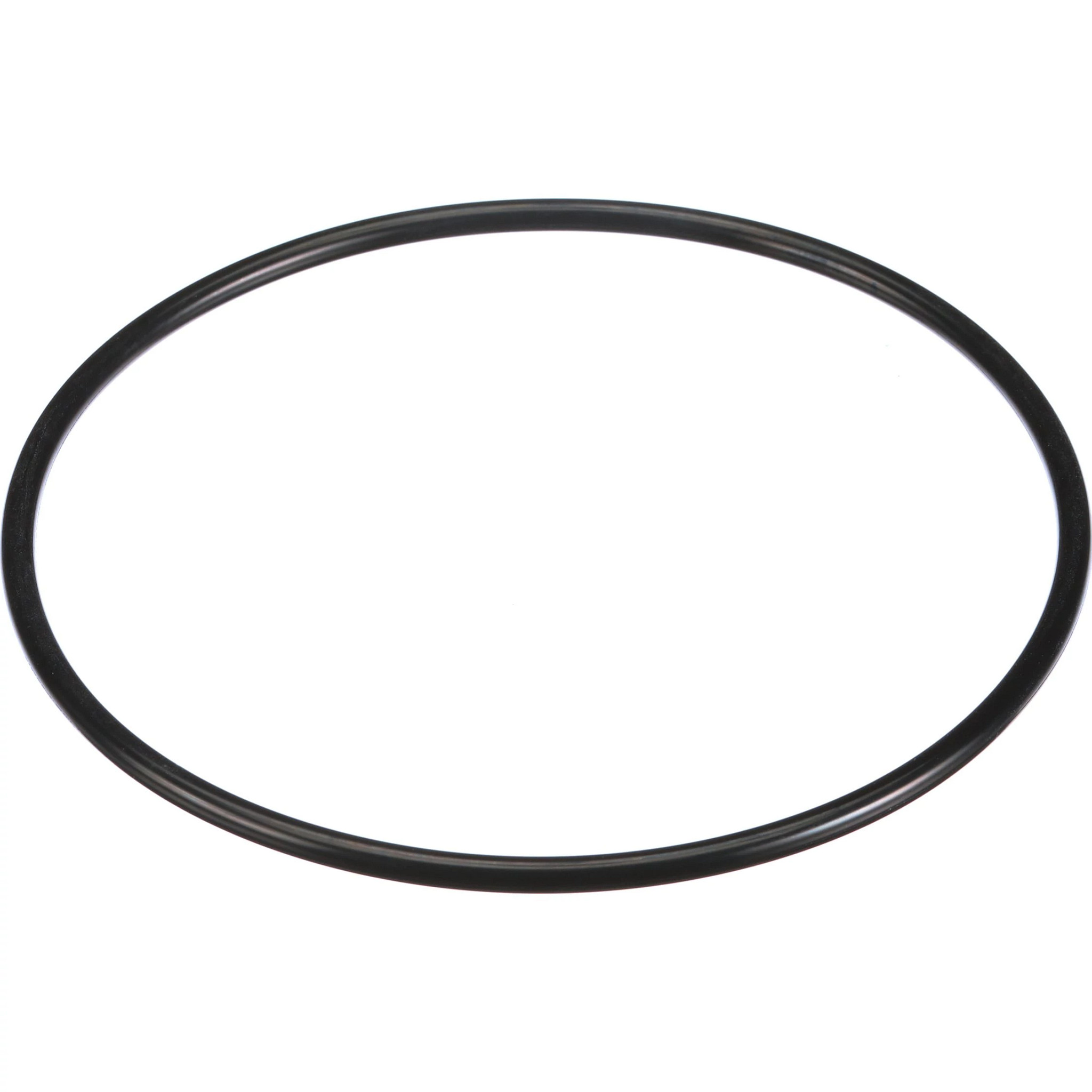 O-RING | CASEIH | US | EN