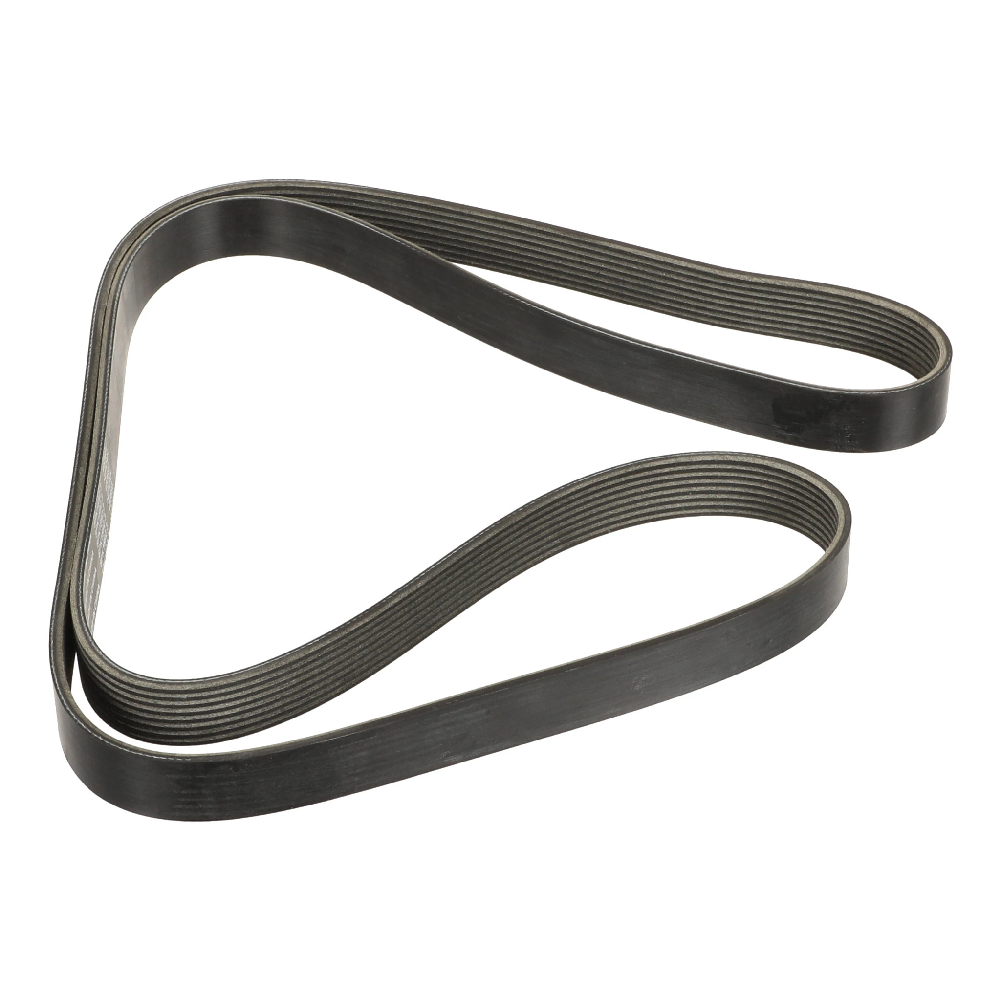 COURROIE | CASECE | CA | FR